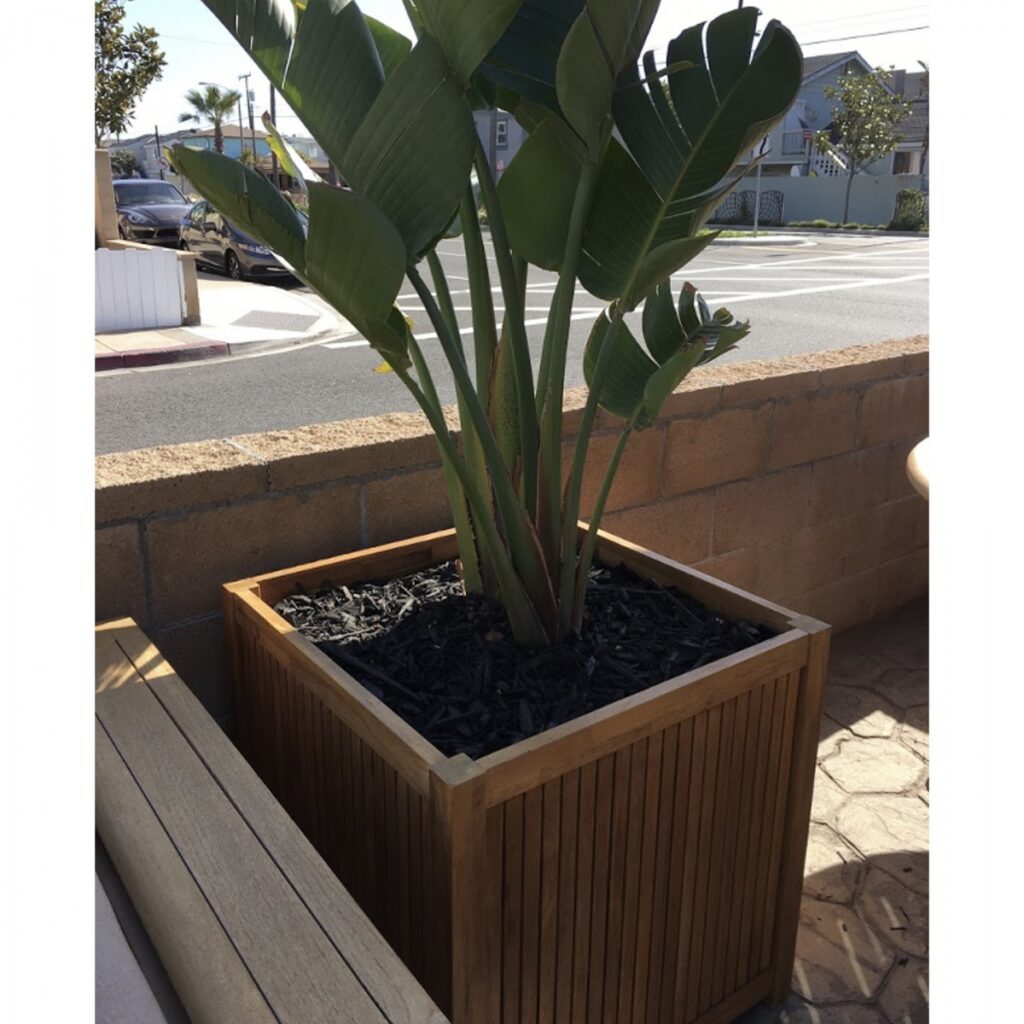 Best Teak Planter Review