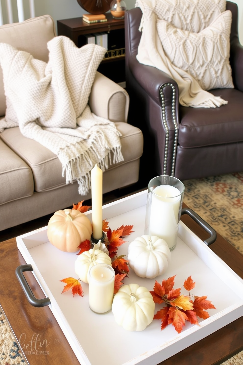 Create a cozy living room setting featuring decorative trays adorned with seasonal items that evoke the essence of fall. Include elements such as small pumpkins, colorful leaves, and scented candles arranged artfully on the trays to enhance the warm atmosphere. Incorporate a plush throw blanket draped over a nearby armchair and a soft rug underfoot to add comfort. Use warm hues like burnt orange, deep reds, and golden yellows in the decor to reflect the autumn season.