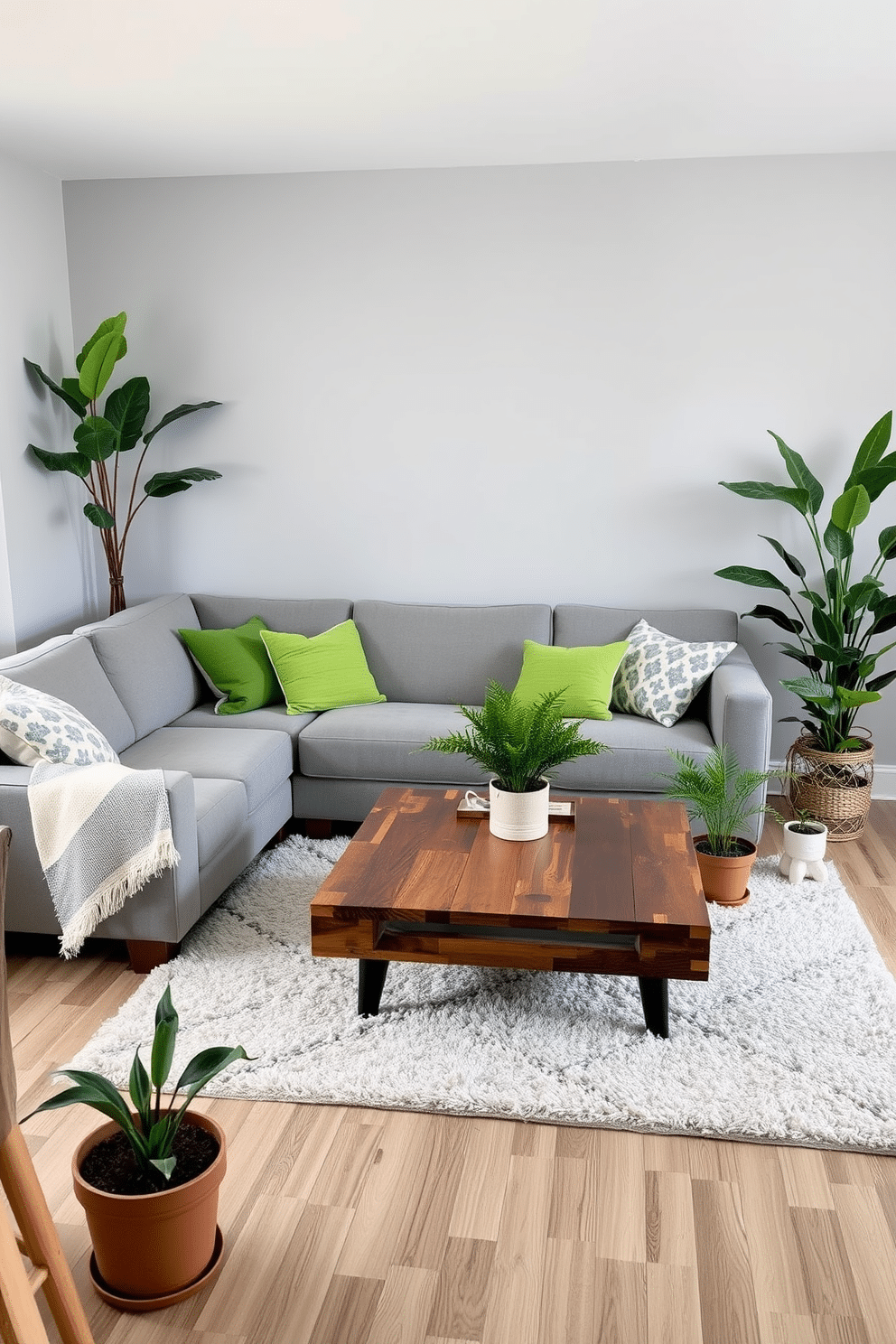 A cozy family room featuring soft gray tones complemented by lush greenery accents. The walls are painted in a light gray shade, while a plush gray sectional sofa is adorned with vibrant green throw pillows. In the center of the room, a stylish coffee table made of reclaimed wood rests on a soft area rug. Potted plants in various sizes are strategically placed around the room, bringing a refreshing touch of nature indoors.