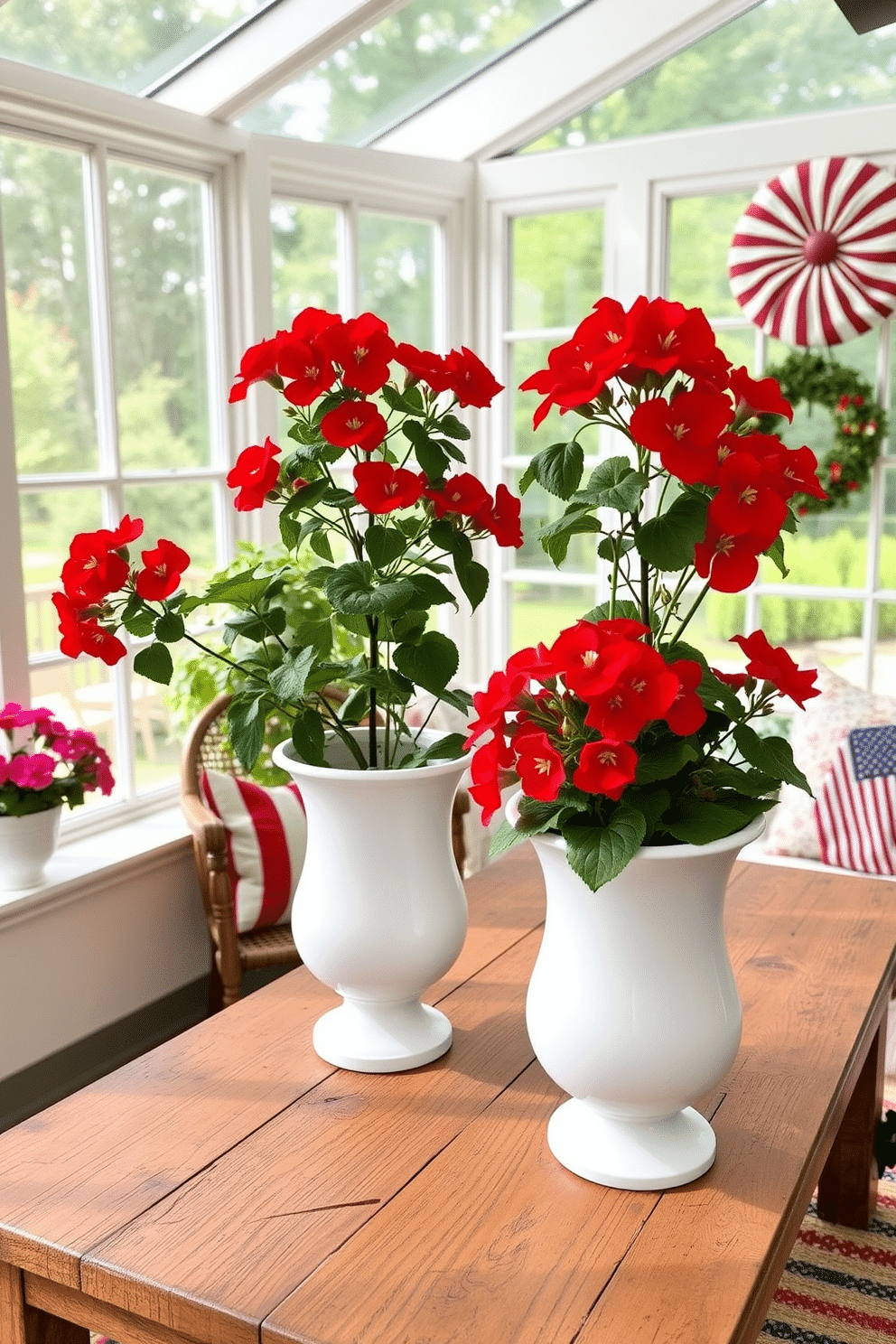 A bright sunroom filled with natural light features vibrant red geraniums in elegant white pots placed on a rustic wooden table. The decor is themed for Independence Day, with subtle red, white, and blue accents throughout the space, creating a festive yet inviting atmosphere.