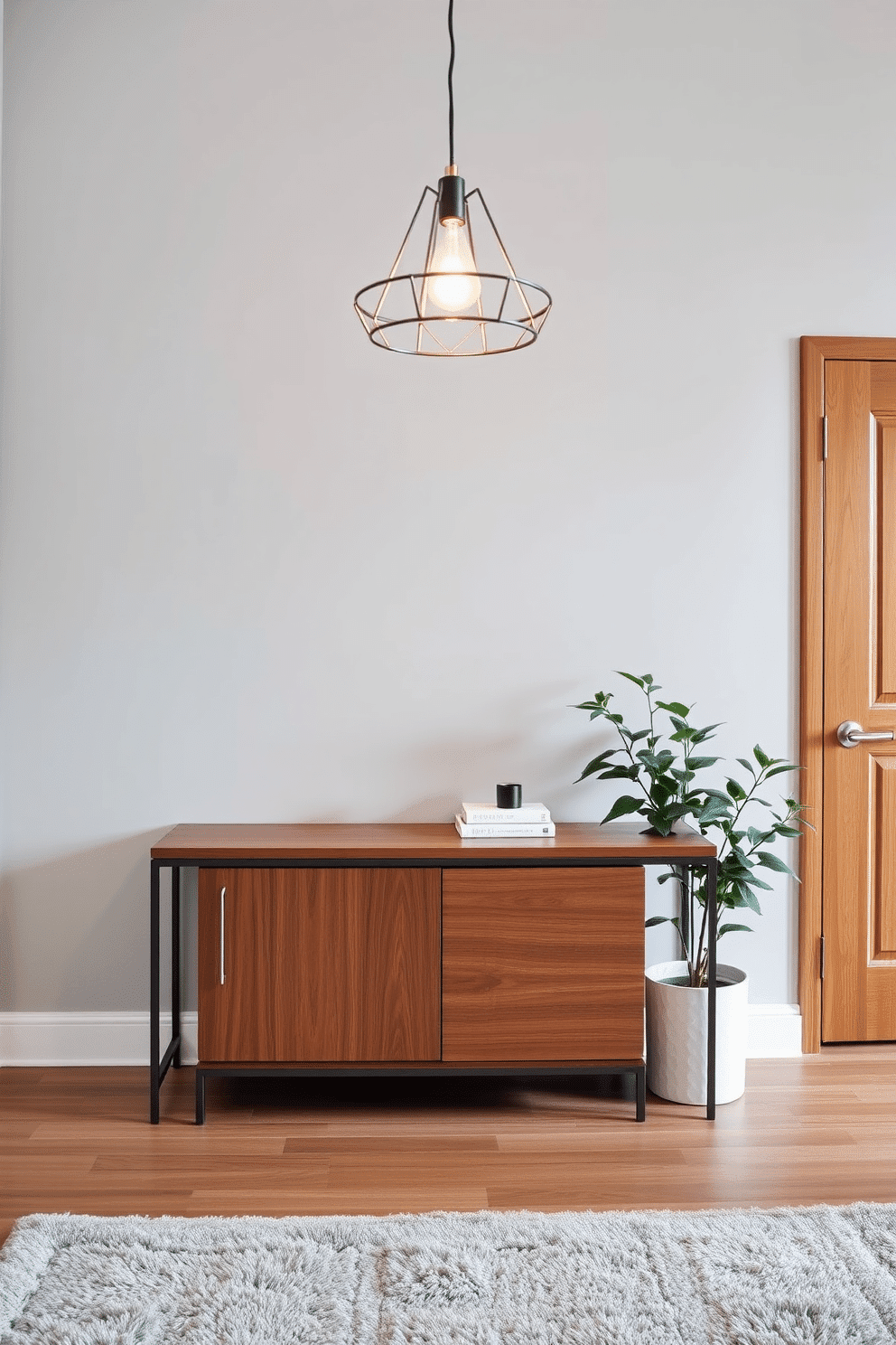 A sleek console table with storage options is positioned against a soft gray wall, enhancing the modern aesthetic of the foyer. The table features clean lines and a combination of wood and metal finishes, providing both functionality and style. The foyer is adorned with a striking pendant light that casts a warm glow, complementing the rich textures of a plush area rug beneath. A large potted plant sits beside the console table, adding a touch of greenery and inviting warmth to the space.