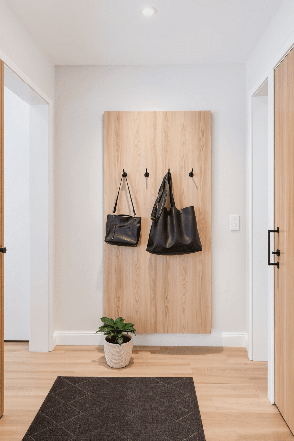 A modern entryway features sleek, minimalist design elements with simple hooks mounted on a light wood panel for coats and bags. The floor is adorned with a geometric-patterned rug, and a small potted plant adds a touch of greenery to the space.