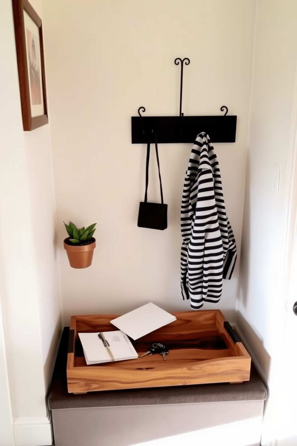 A small entryway features a stylish decorative tray made of natural wood, elegantly holding keys and mail. The walls are painted in a soft, welcoming hue, complemented by a chic wall-mounted coat rack and a small potted plant for a touch of greenery.