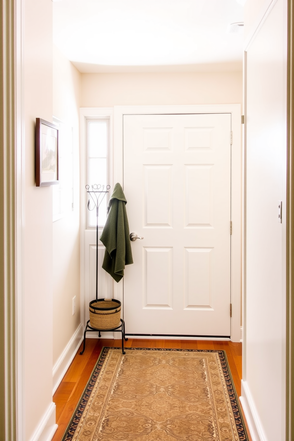 A charming mudroom featuring a small coat rack positioned by the door. The walls are painted in a soft pastel hue, and a patterned rug adds warmth to the space.