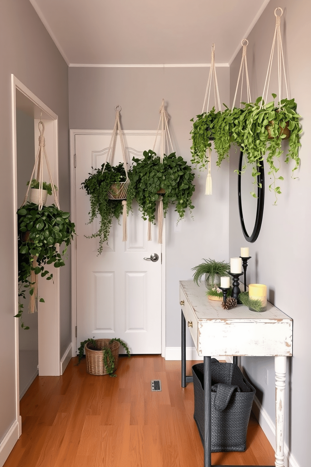 A cozy winter hallway adorned with hanging plants creates a refreshing atmosphere. The walls are painted in a soft gray hue, and the floor is covered with a warm wooden finish. Lush greenery cascades from macramé hangers, adding life and color to the space. A stylish console table with a rustic finish sits against the wall, topped with seasonal decor and a fragrant candle.