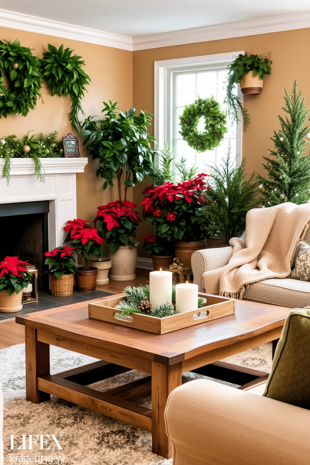 A cozy winter living room adorned with lush greenery. Potted winter plants like poinsettias and evergreens are strategically placed around the room to bring a touch of nature indoors. The walls are painted in a warm neutral tone, complementing the rich textures of a soft wool throw draped over a plush armchair. A rustic wooden coffee table sits in the center, topped with a decorative tray holding candles and seasonal decor.