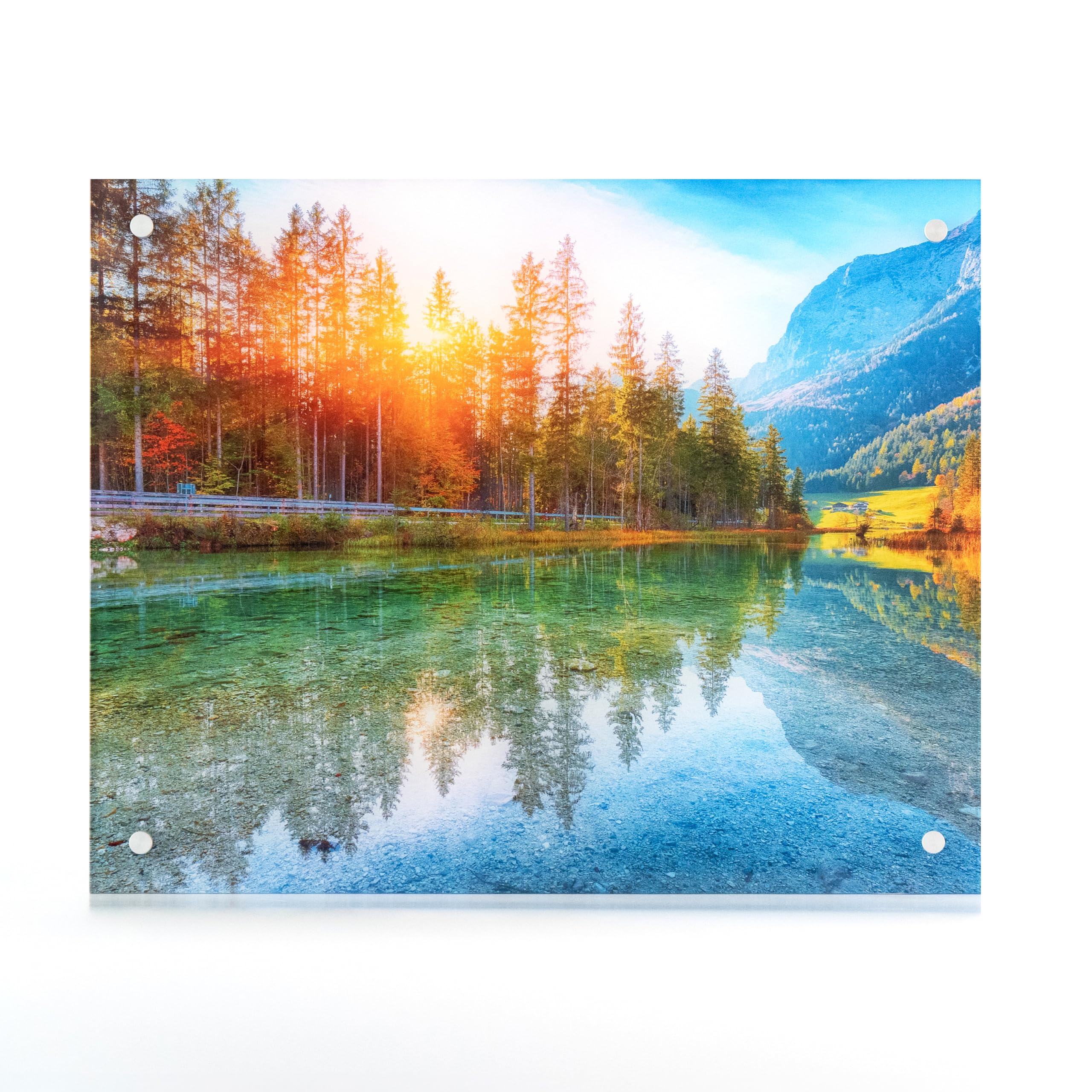 10 Best Acrylic Wall Art