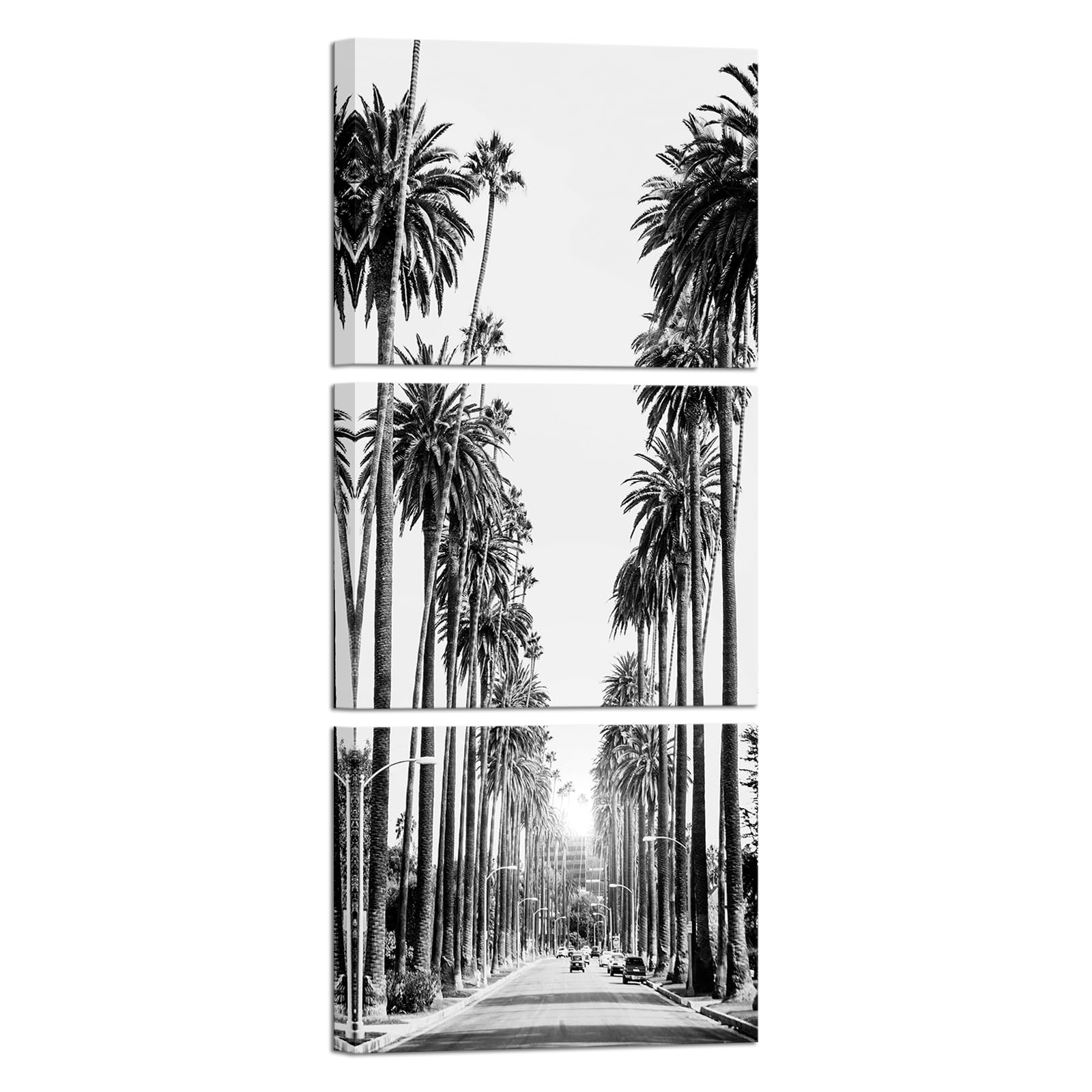 11 Best Photography Wall Art