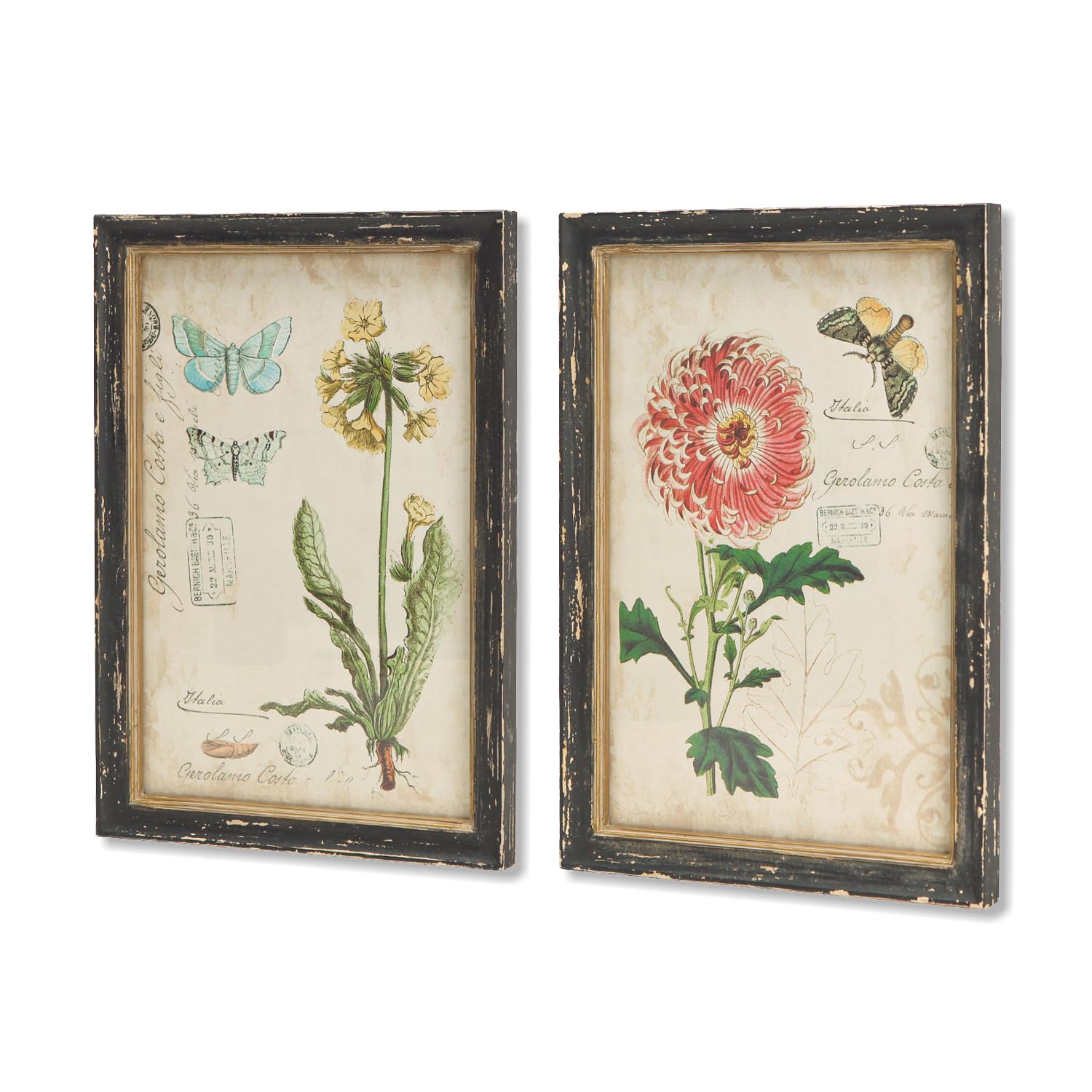 12 Best Botanical Wall Art