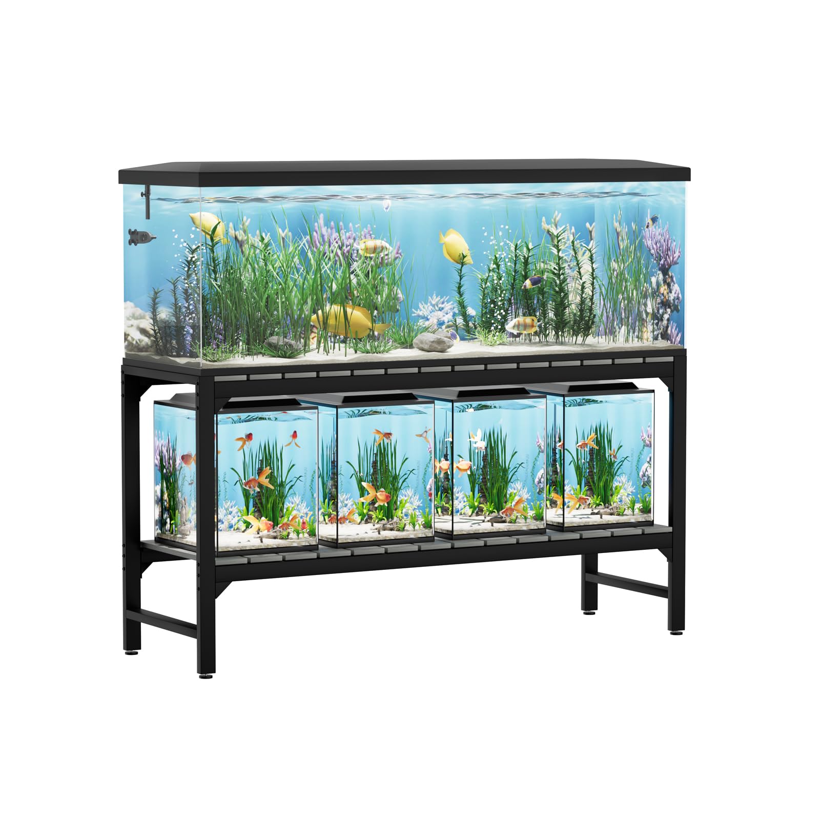 1 Best Aquarium Shelves