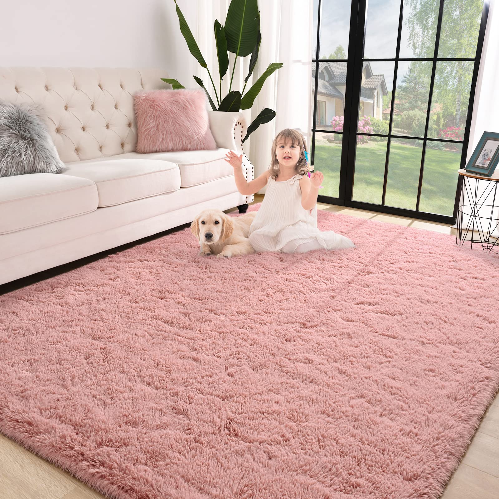 1 Best Blush Rugs