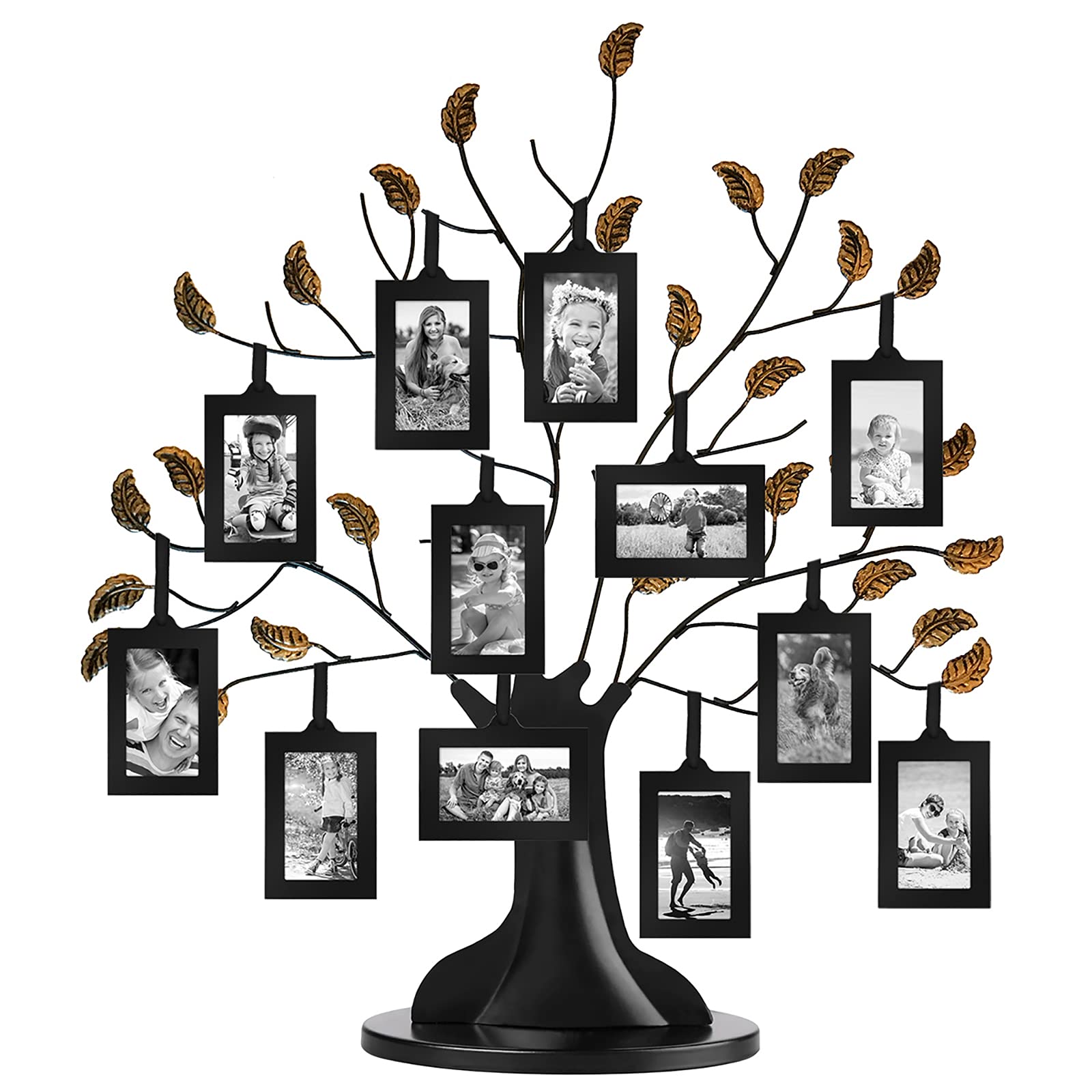 1 Best Family Tree Picture Frames