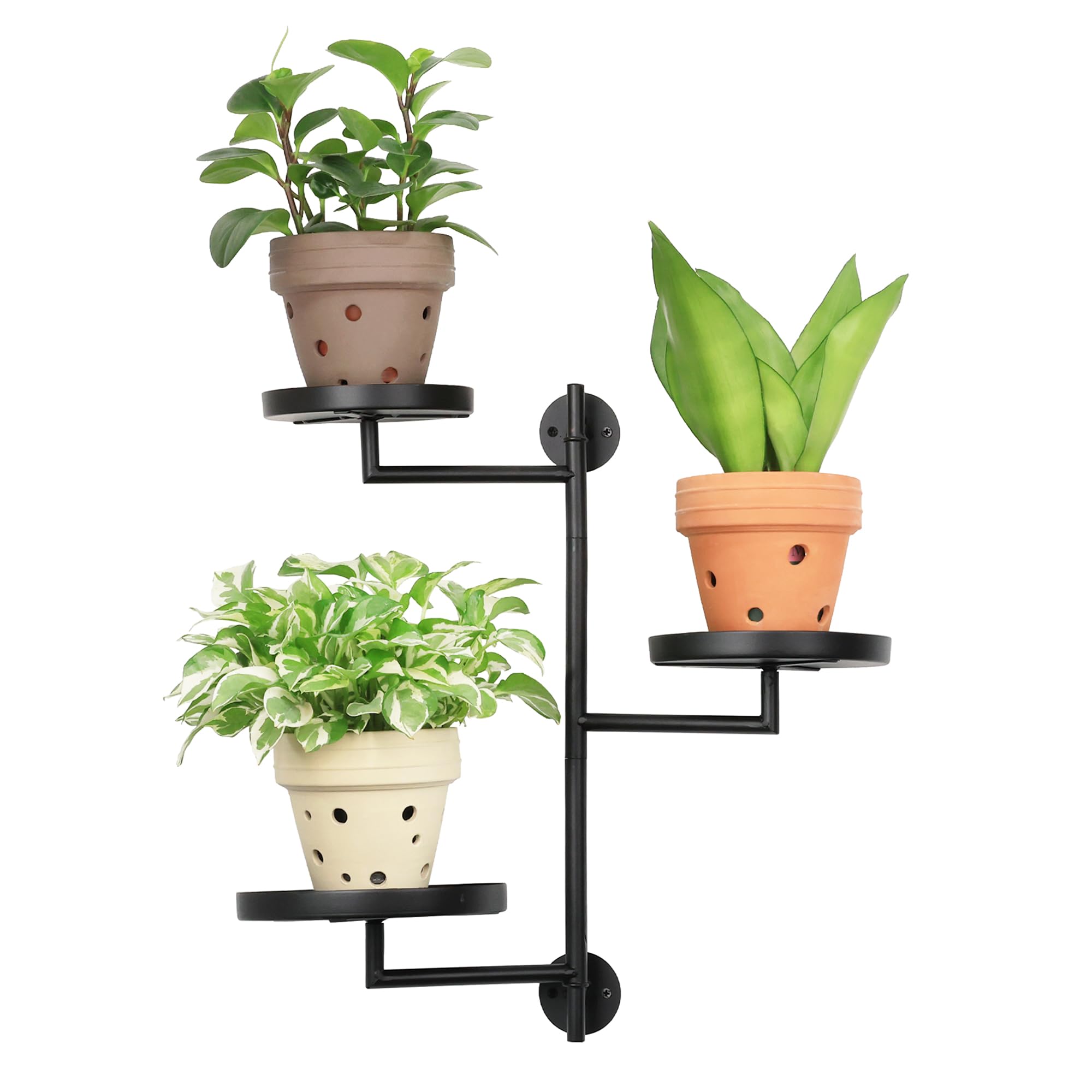 1 Best Plant Shelves