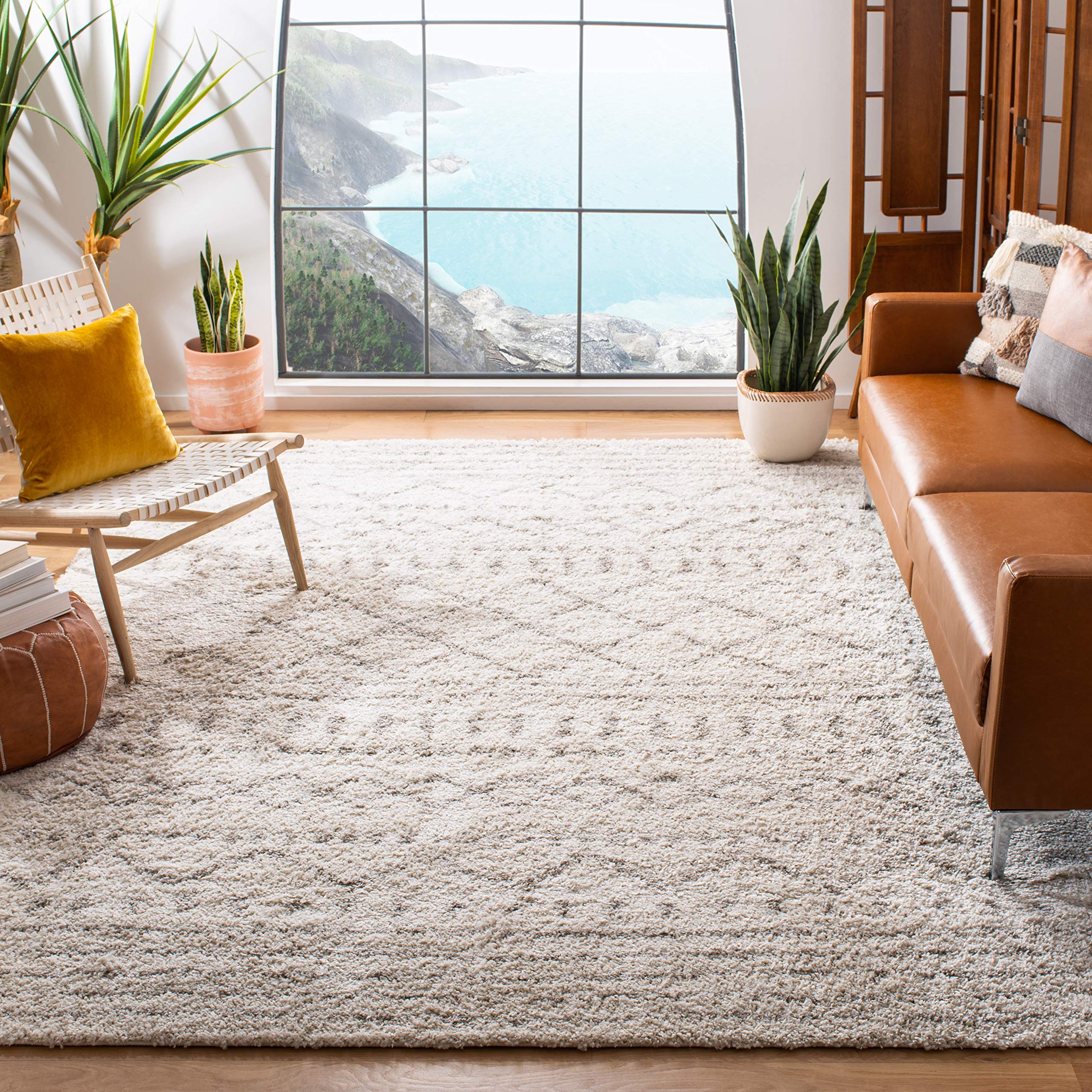 1 Best Plush Rugs