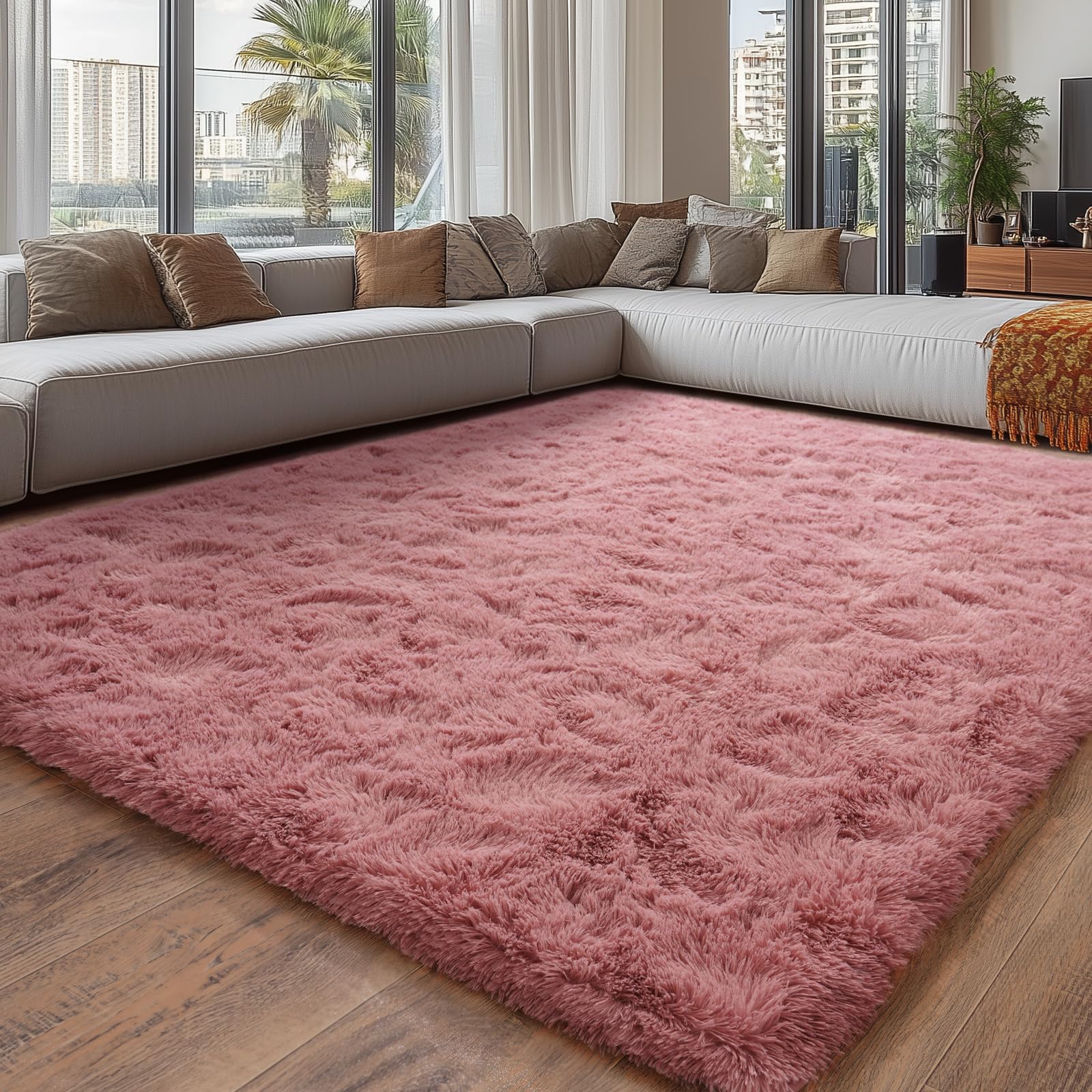 2 Best Blush Rugs