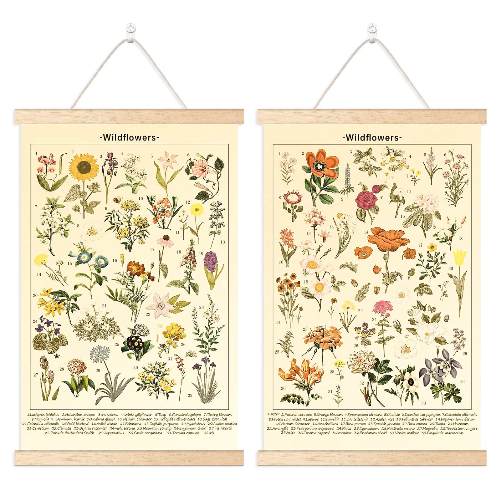 2 Best Botanical Wall Art