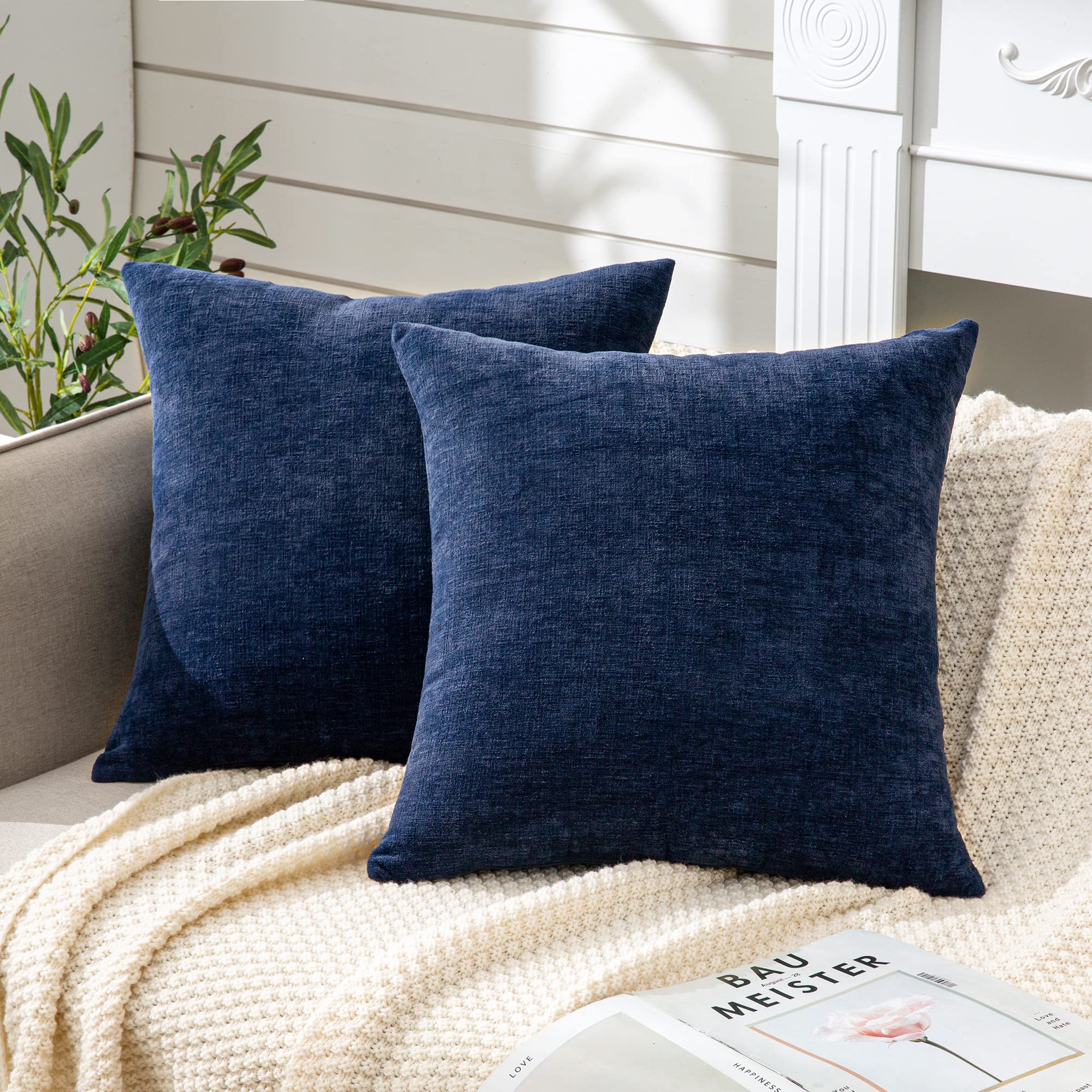 2 Best Chenille Cushions