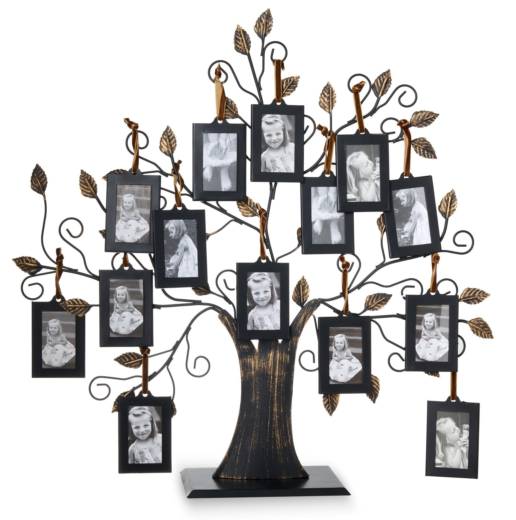 2 Best Family Tree Picture Frames