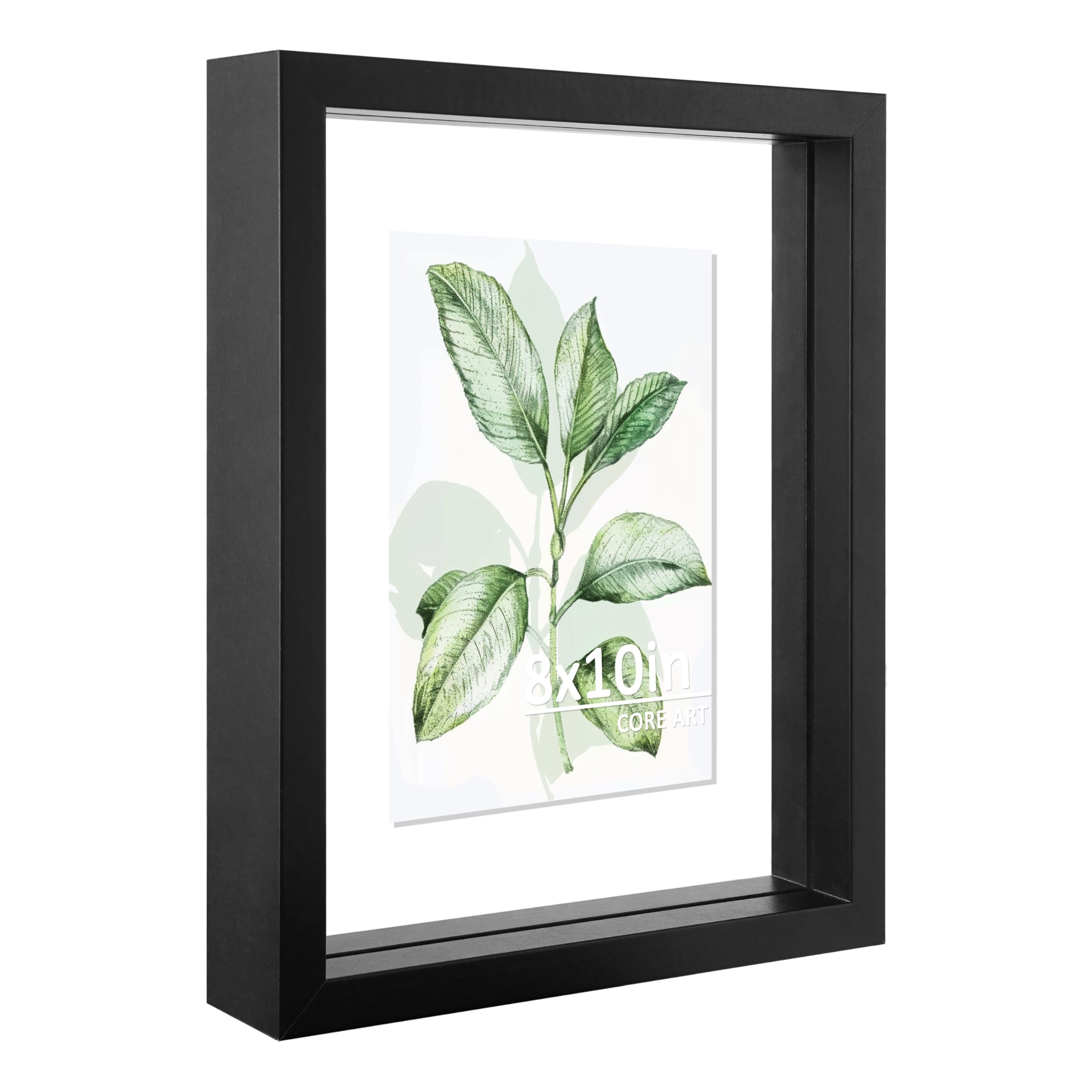 2 Best Floating Picture Frames