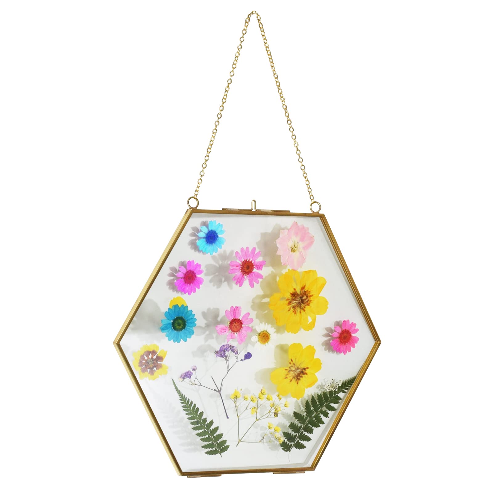 2 Best Hexagonal Picture Frames