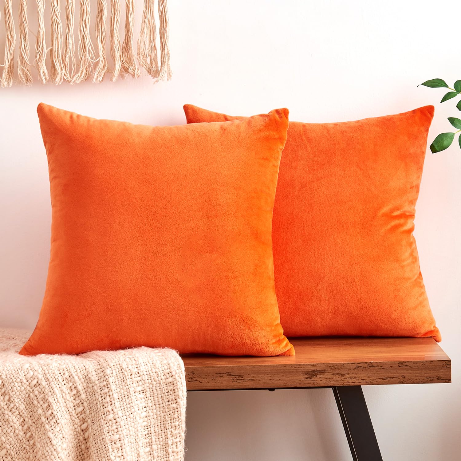 2 Best Orange Cushions