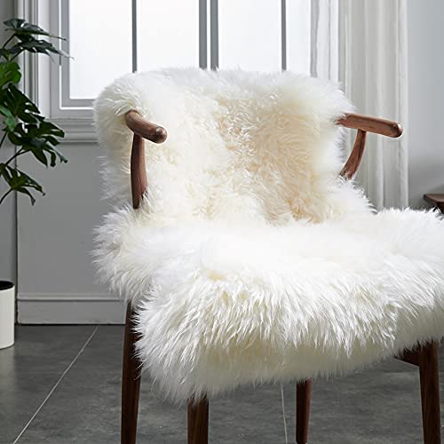 2 Best Shearling Rugs