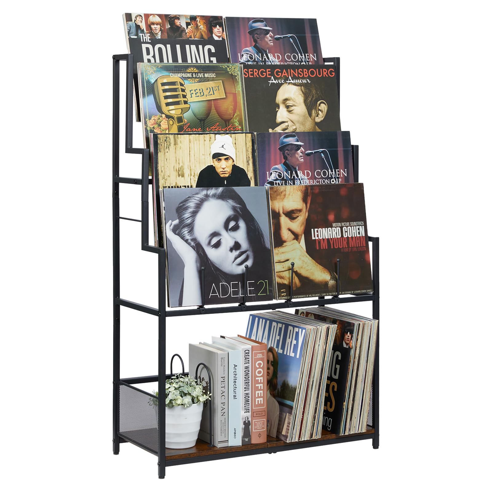 2 Best Vinyl Storage Shelves