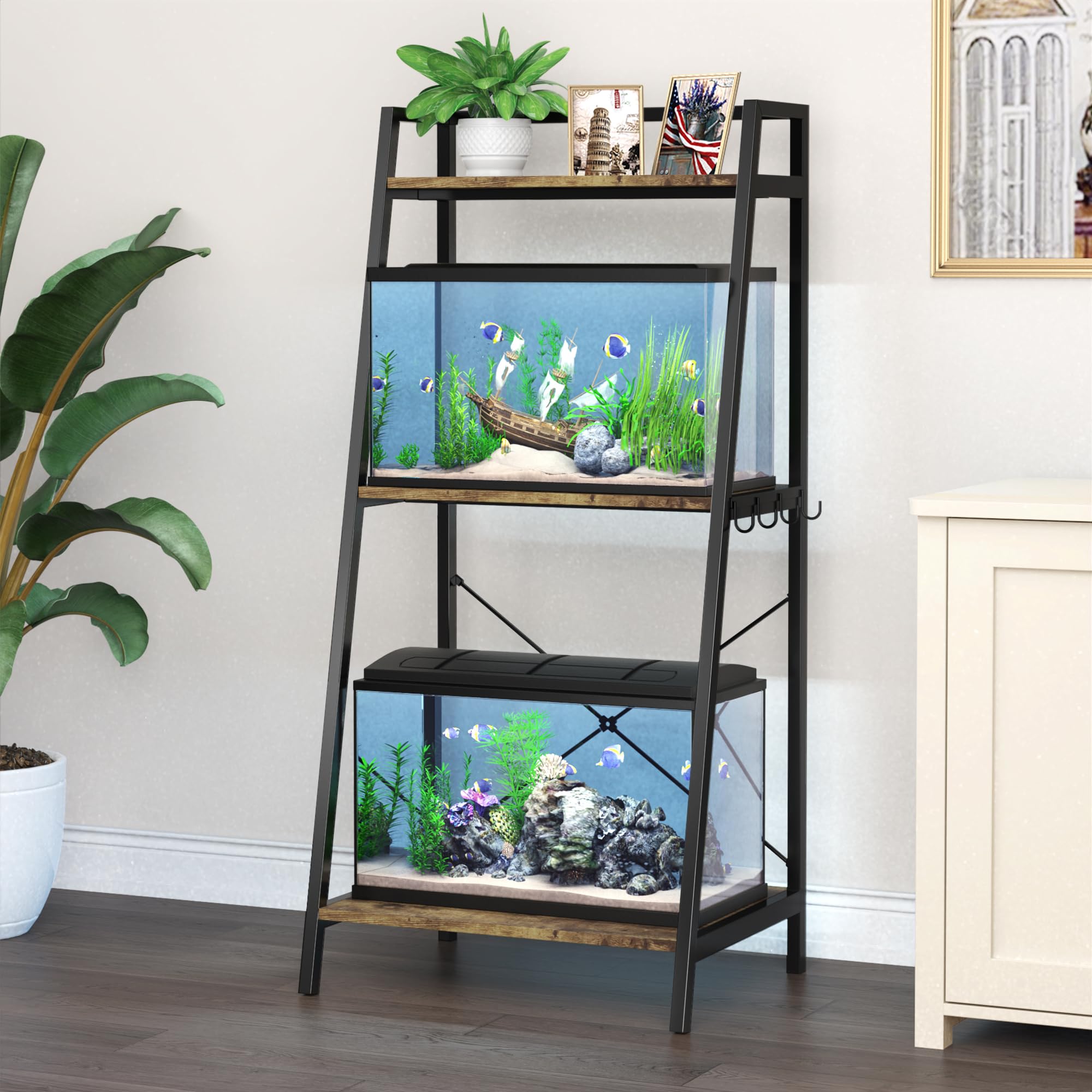 3 Best Aquarium Shelves