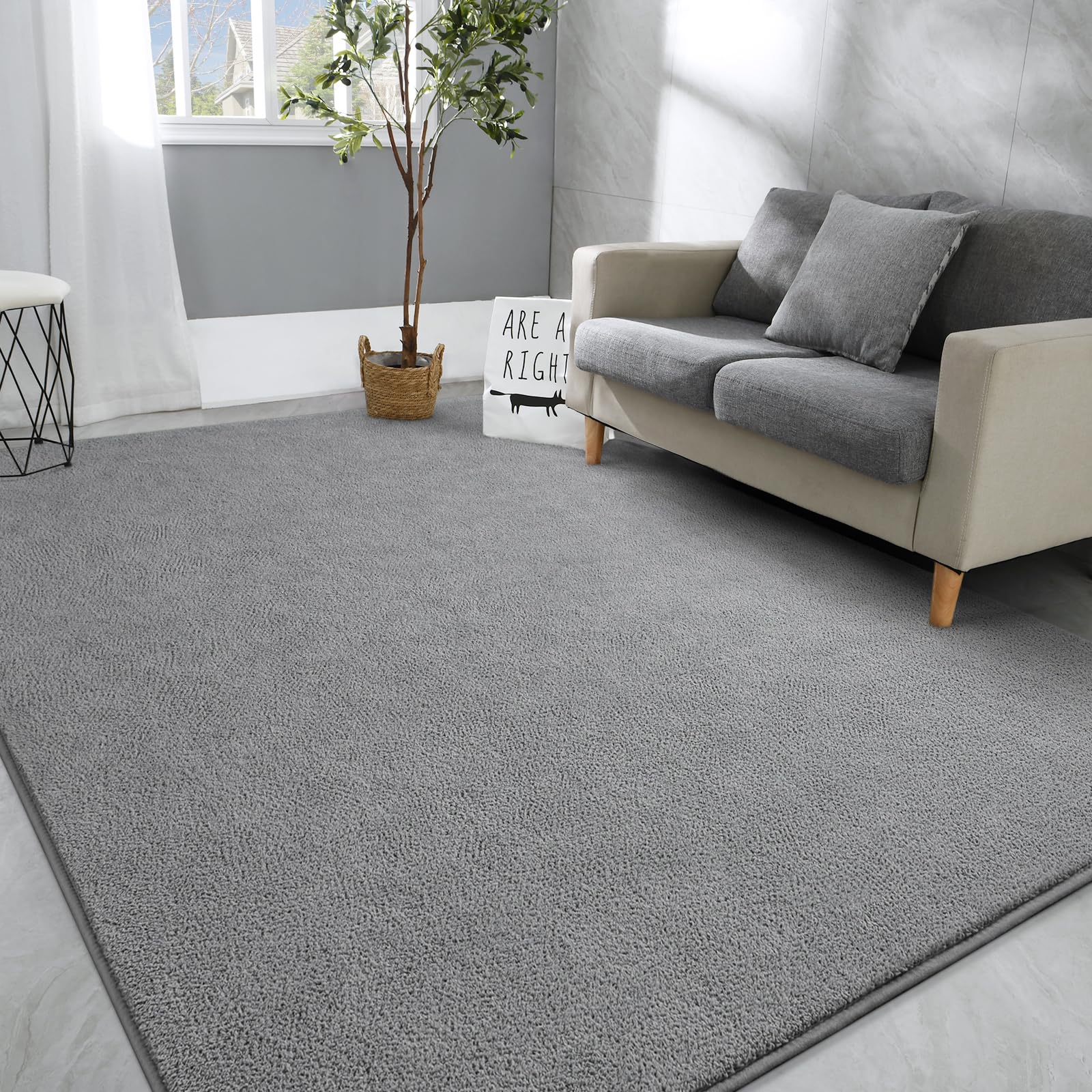 3 Best Solid Color Rugs