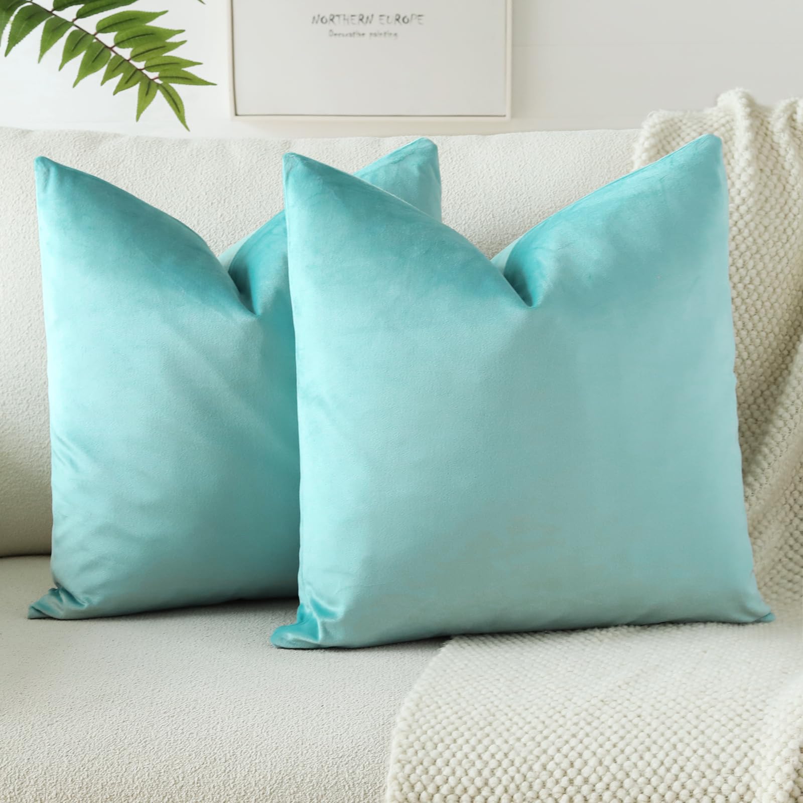 4 Best Aqua Cushions