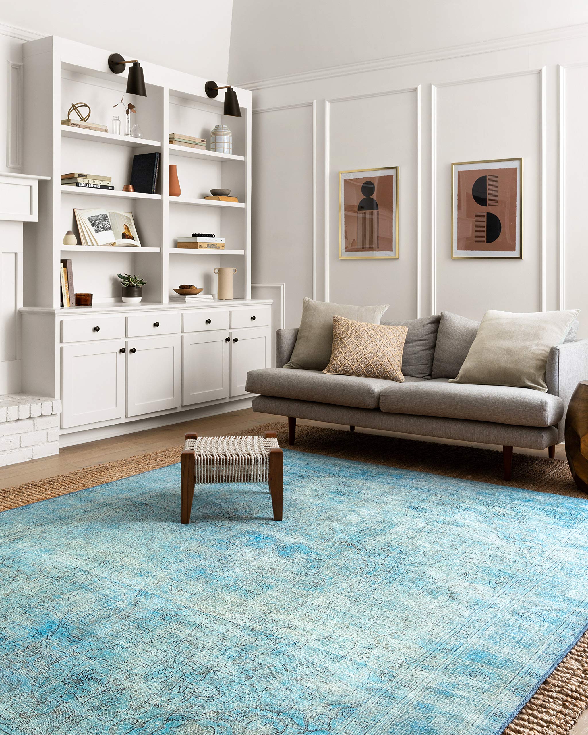 4 Best Aqua Rugs