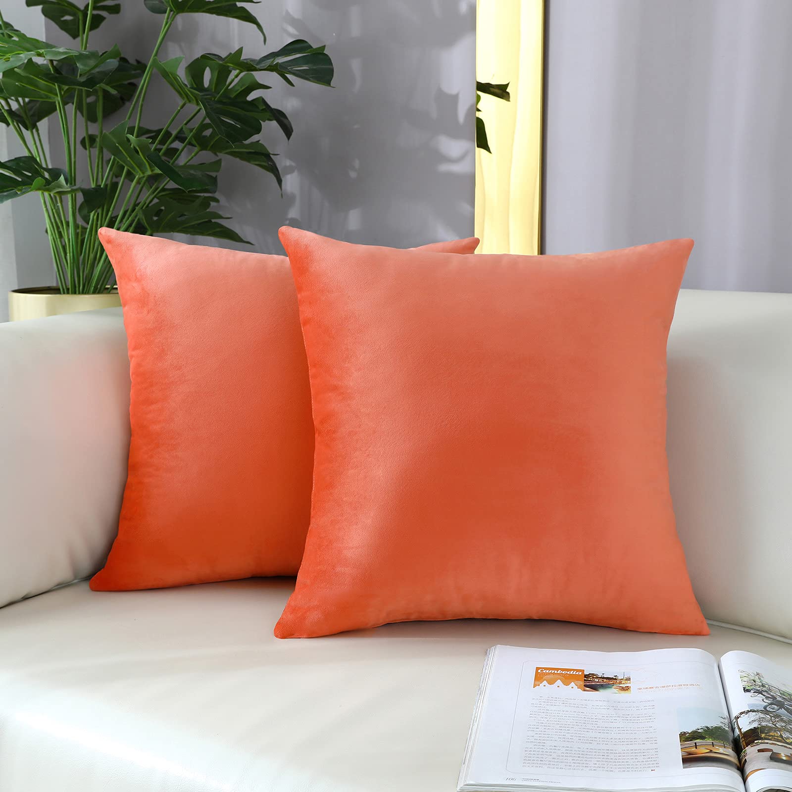 4 Best Coral Cushions