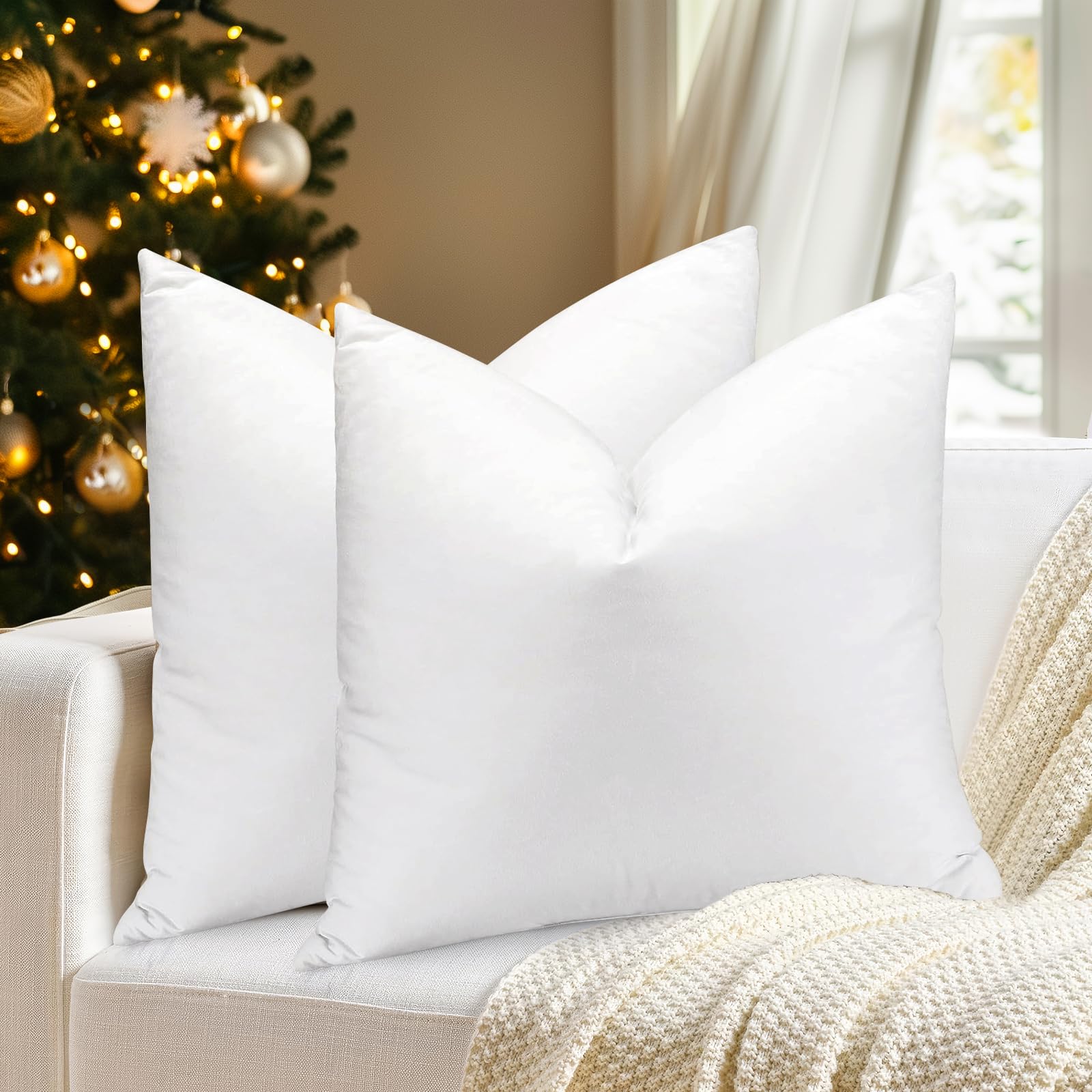 4 Best Down Cushions