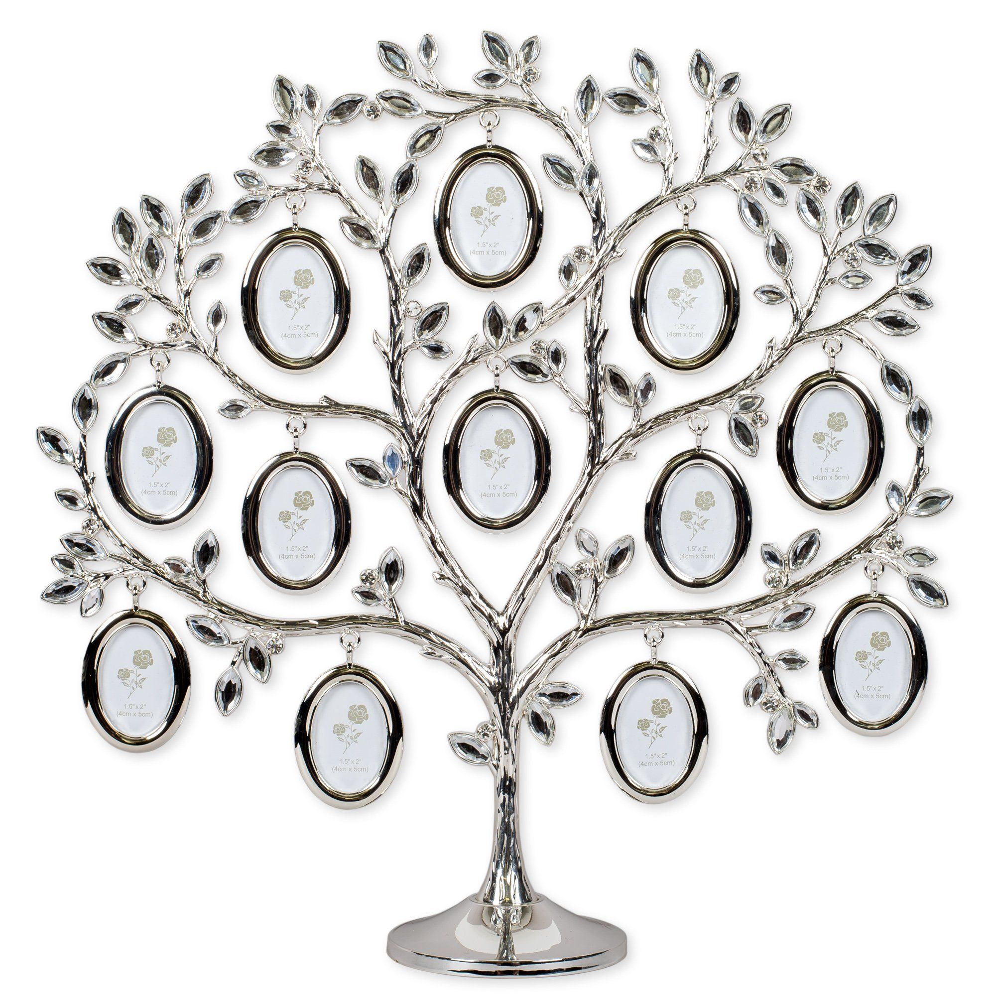 4 Best Family Tree Picture Frames