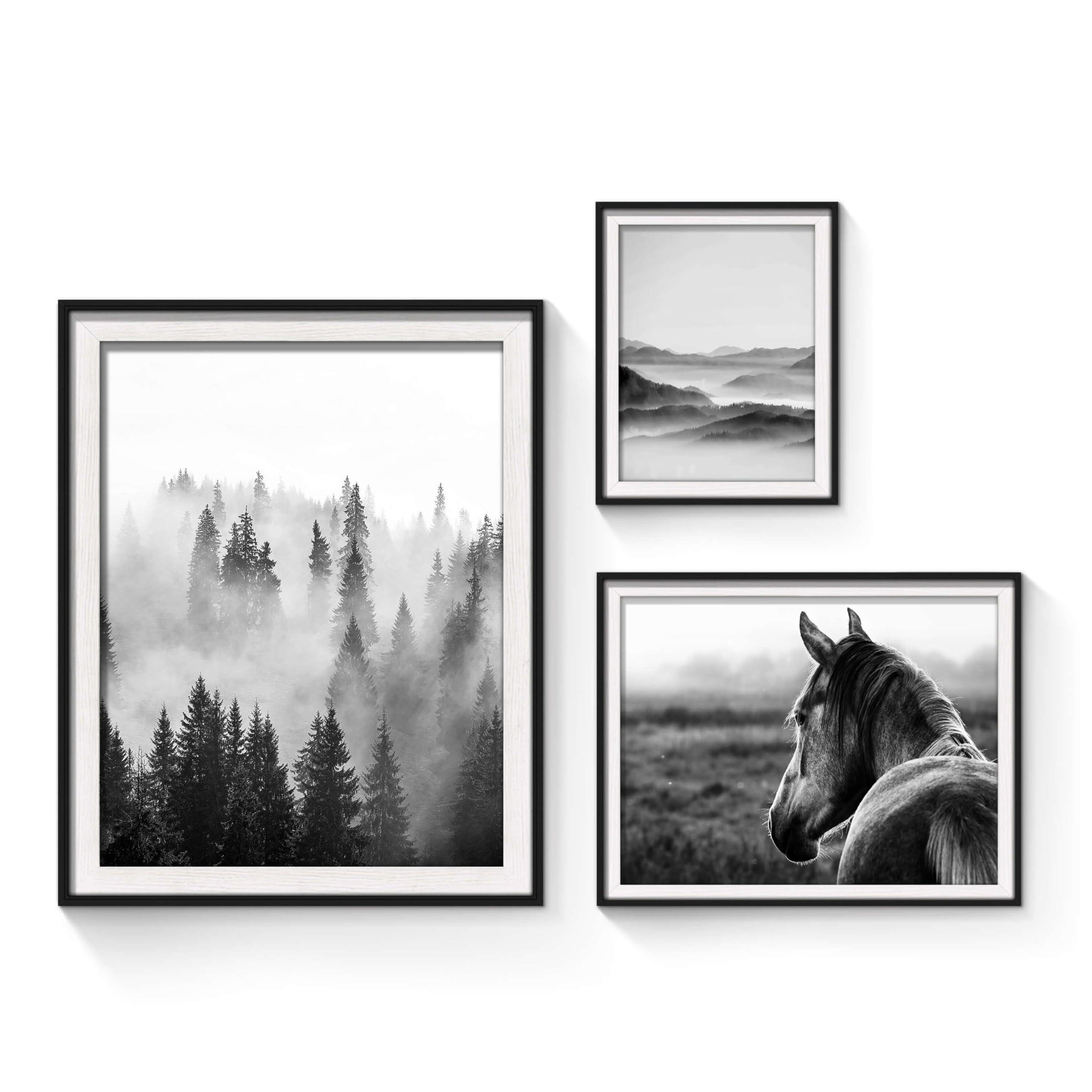 4 Best Photography Wall Art