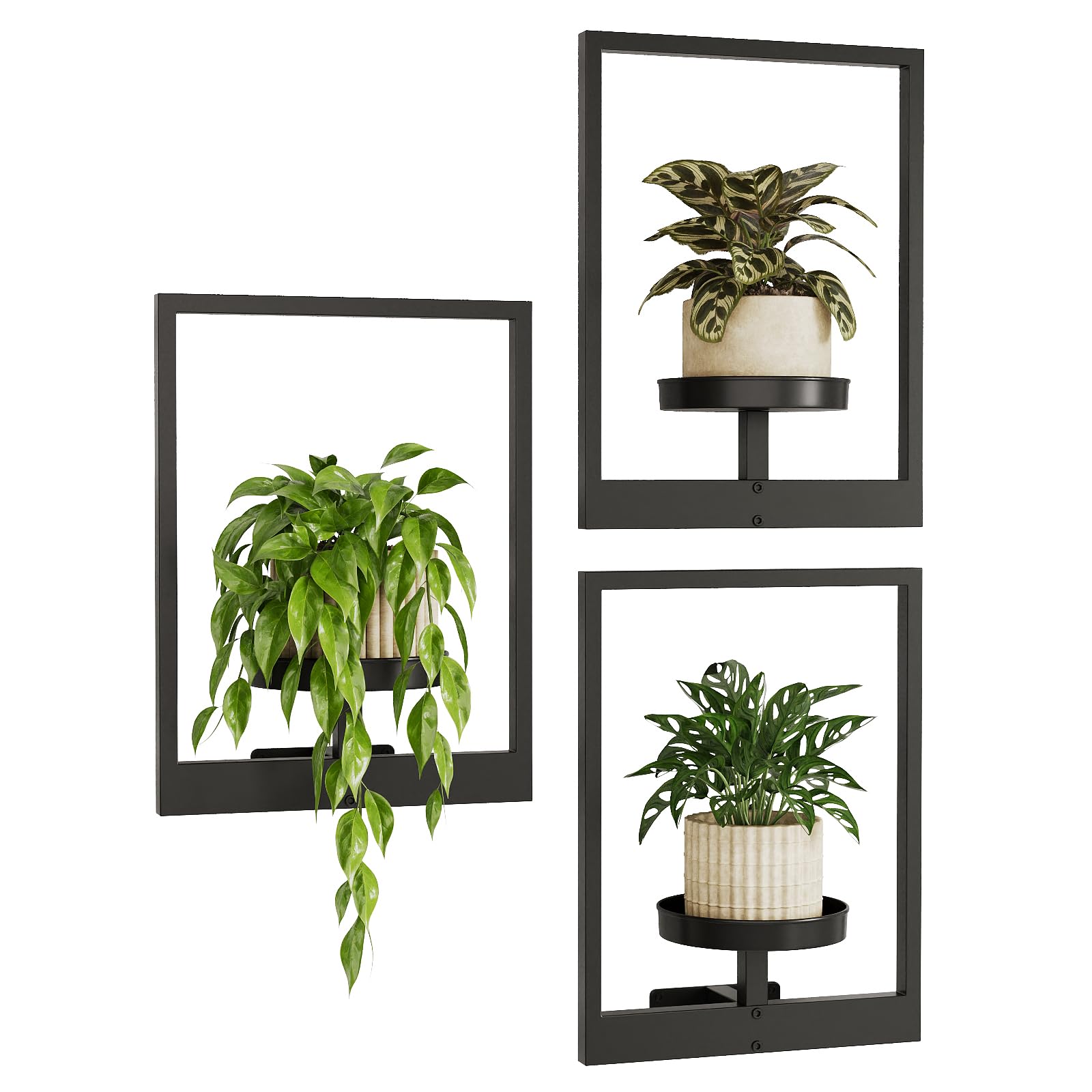 4 Best Plant Shelves