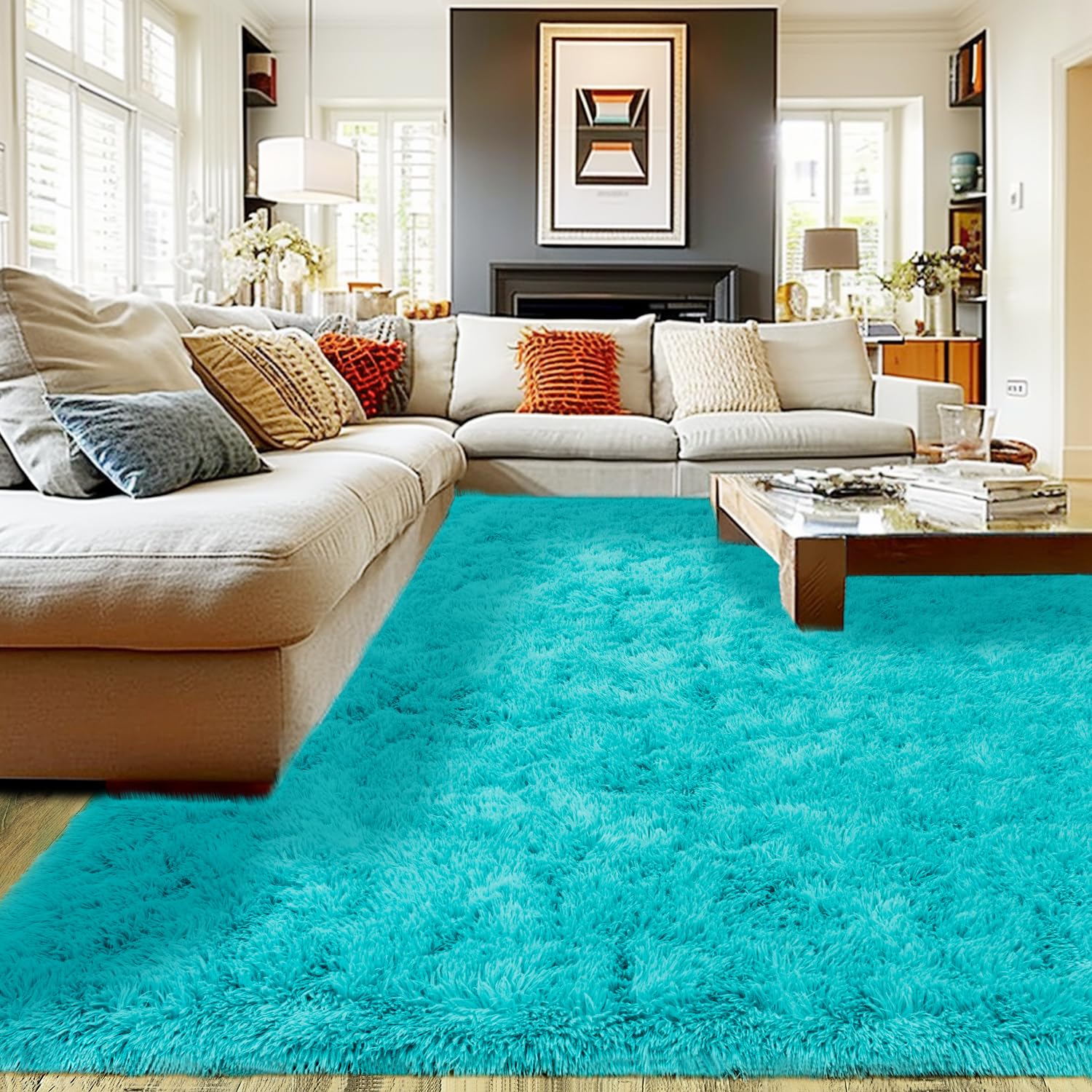 4 Best Teal Rugs