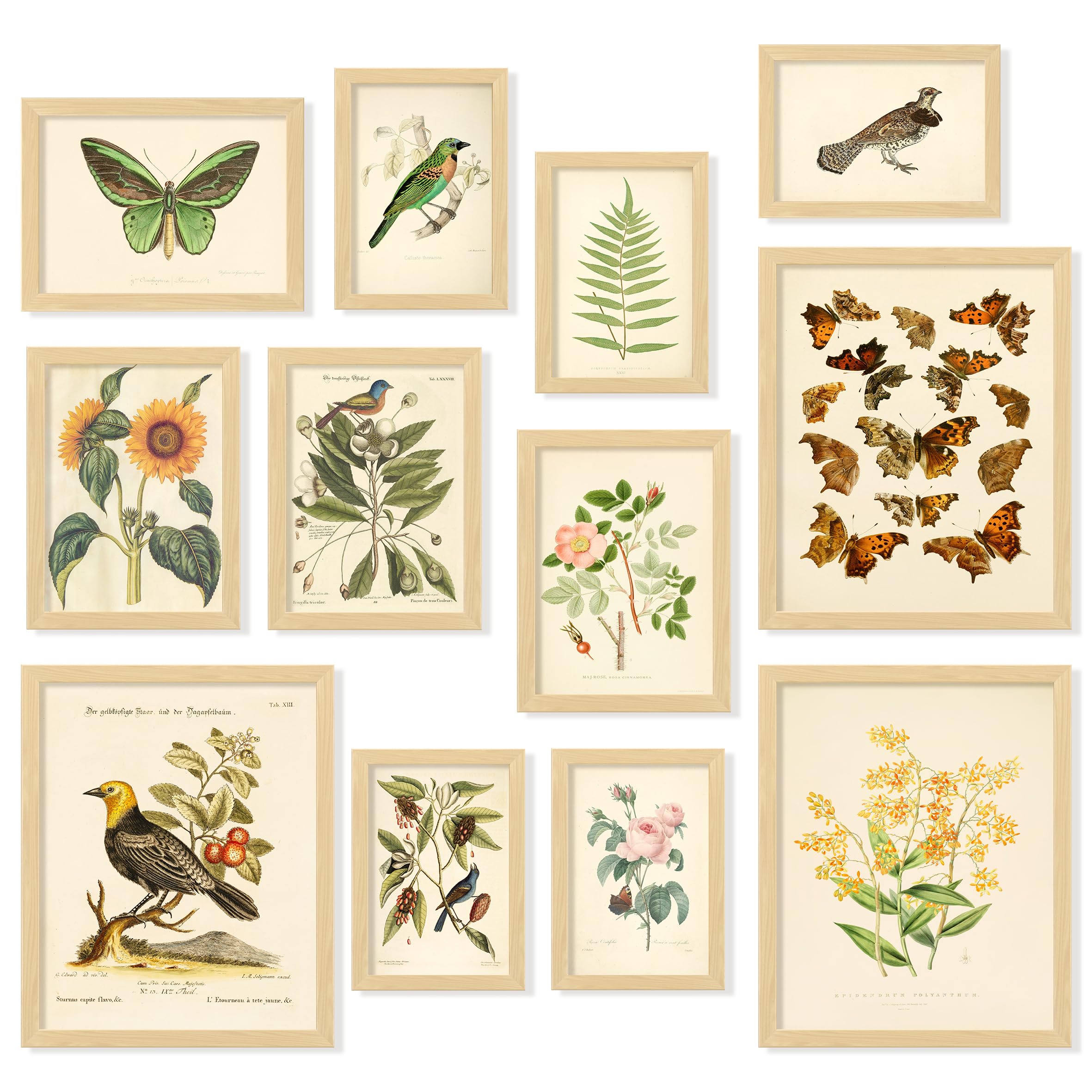 5 Best Botanical Wall Art