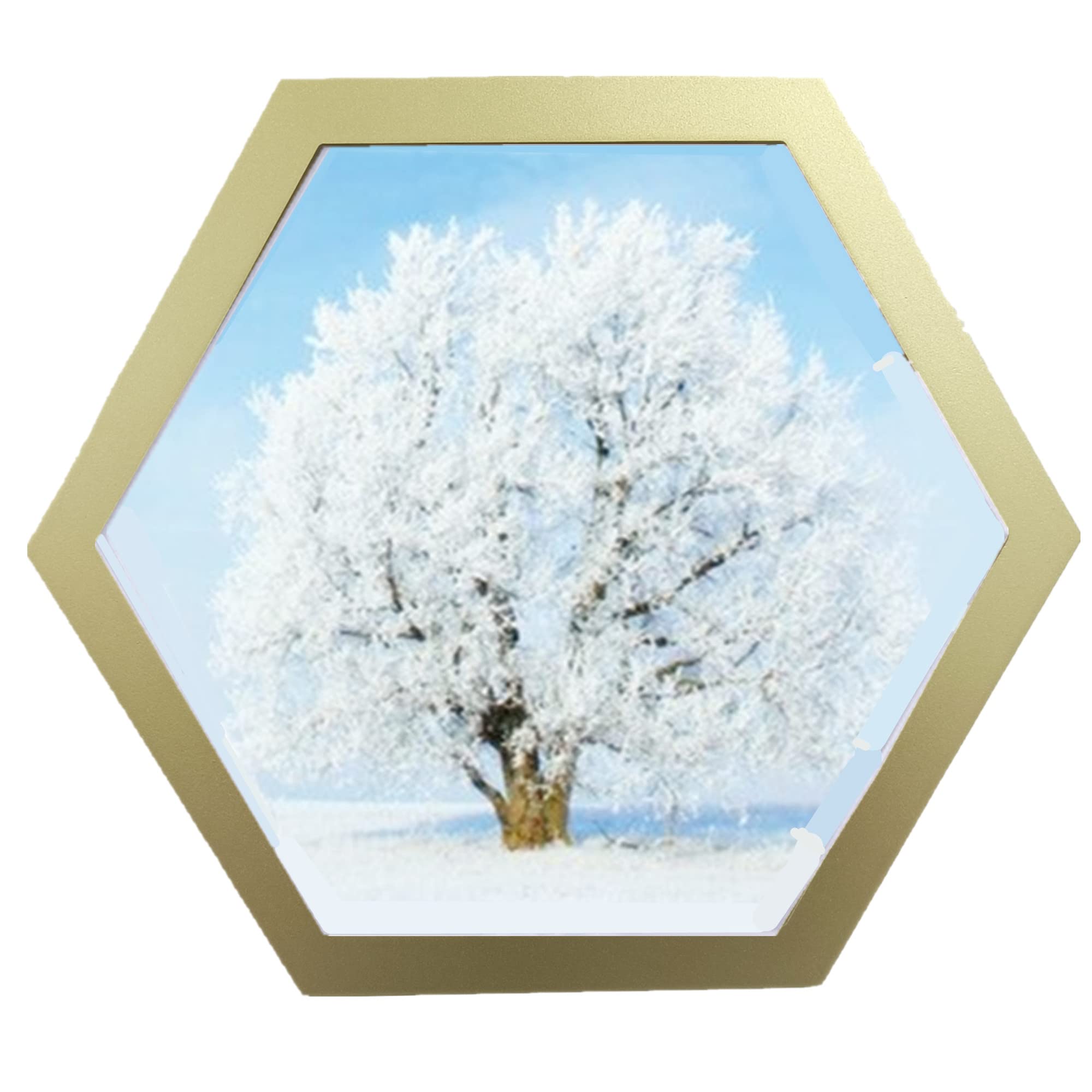 5 Best Hexagonal Picture Frames