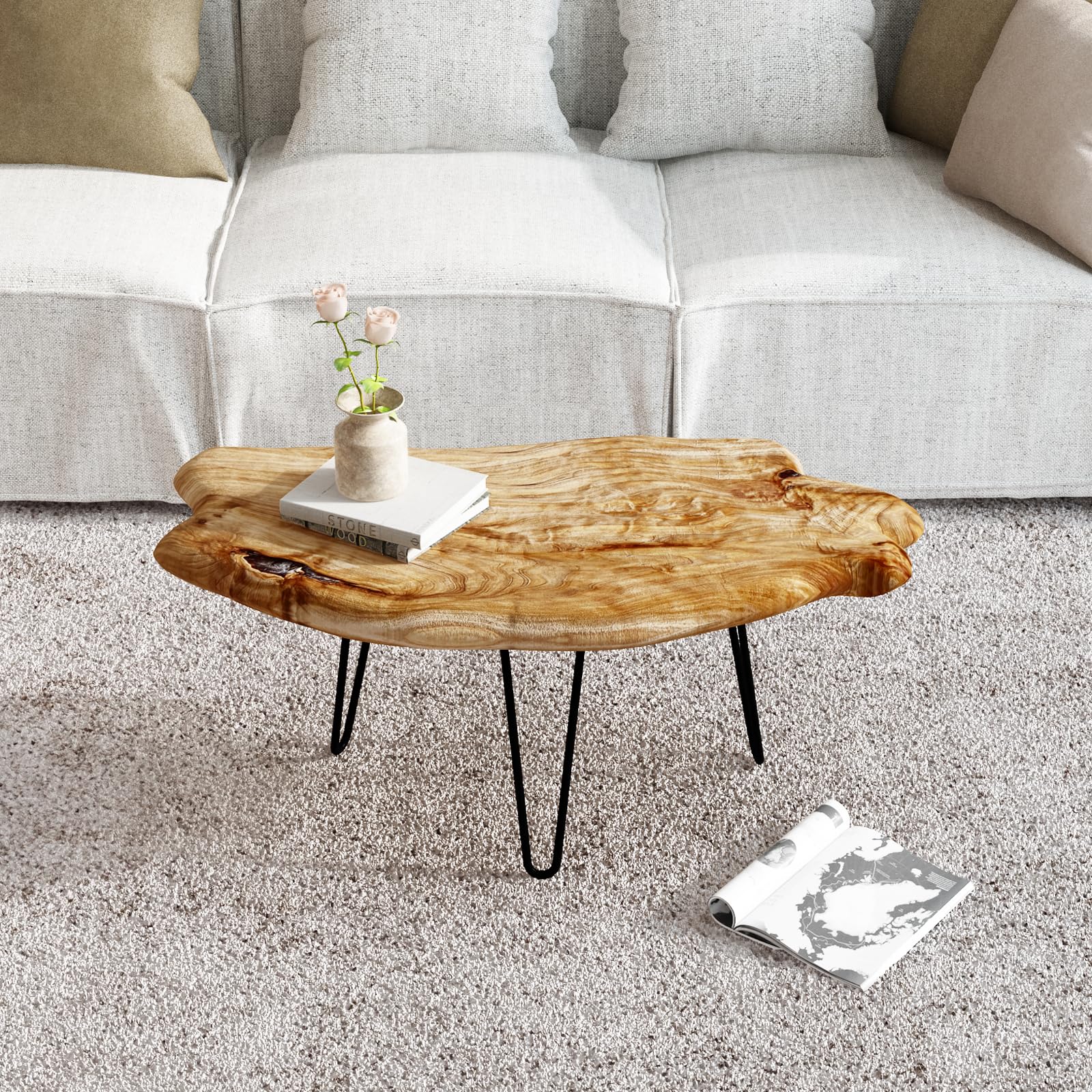 5 Best Live Edge Coffee Tables