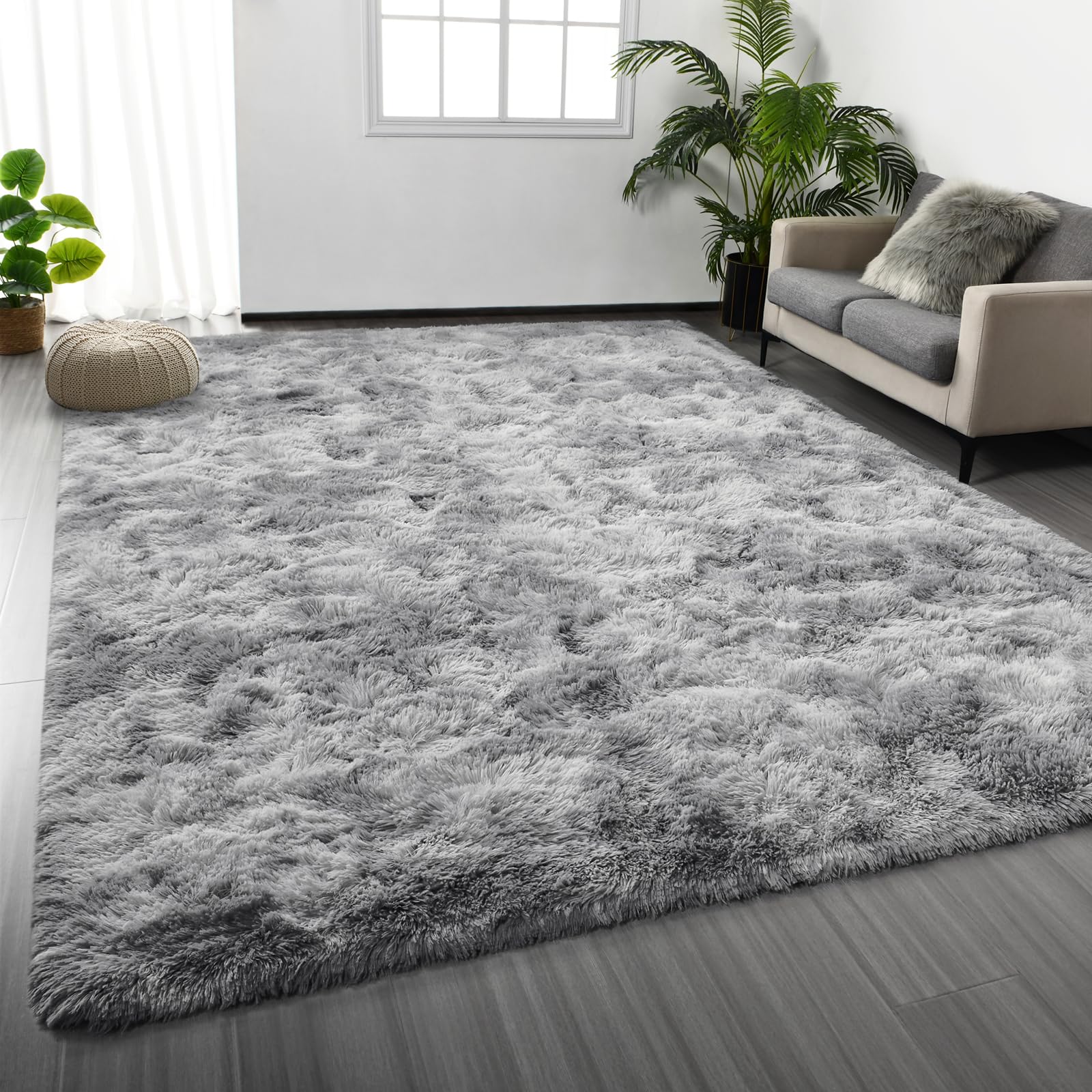 5 Best Shag Rugs