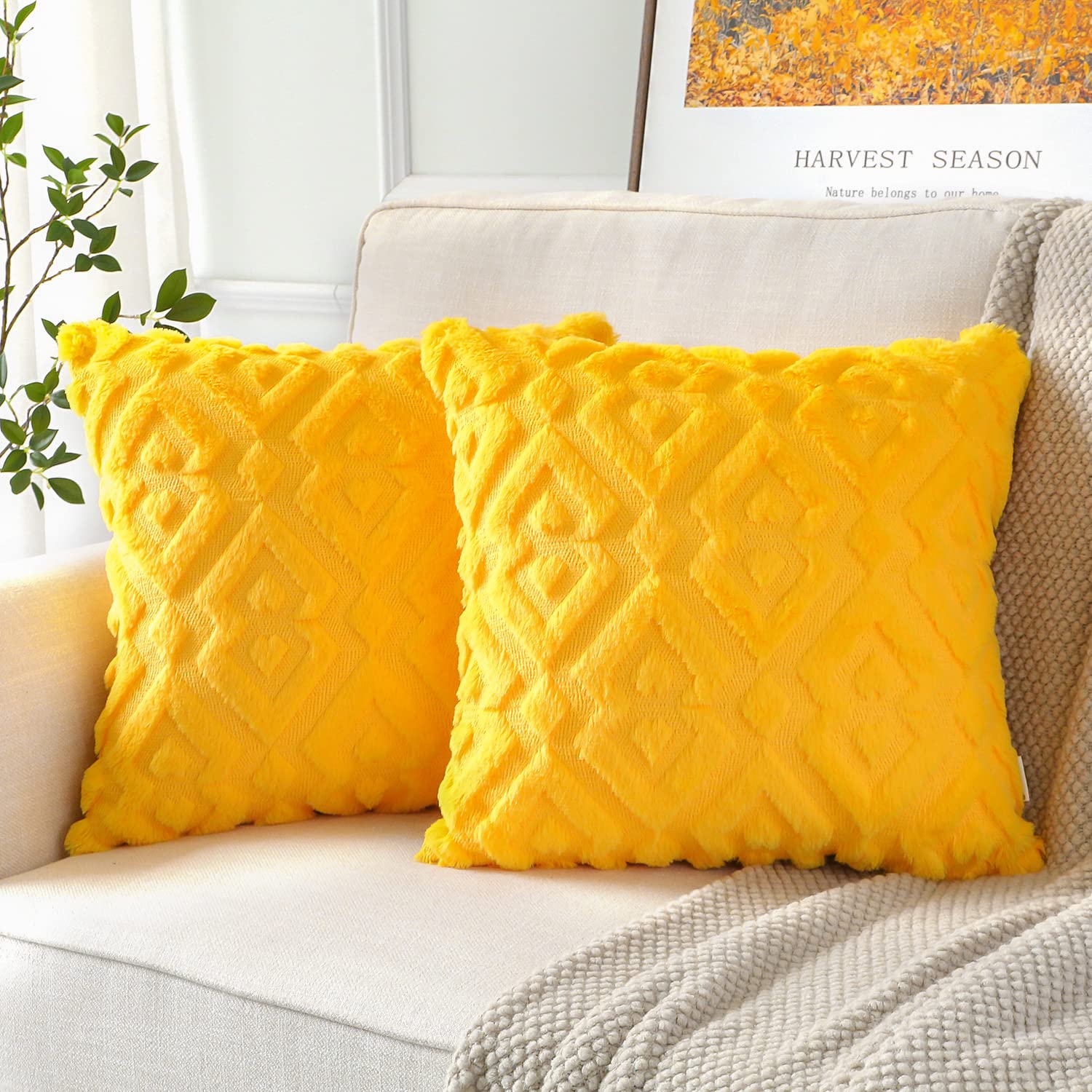 5 Best Yellow Cushions