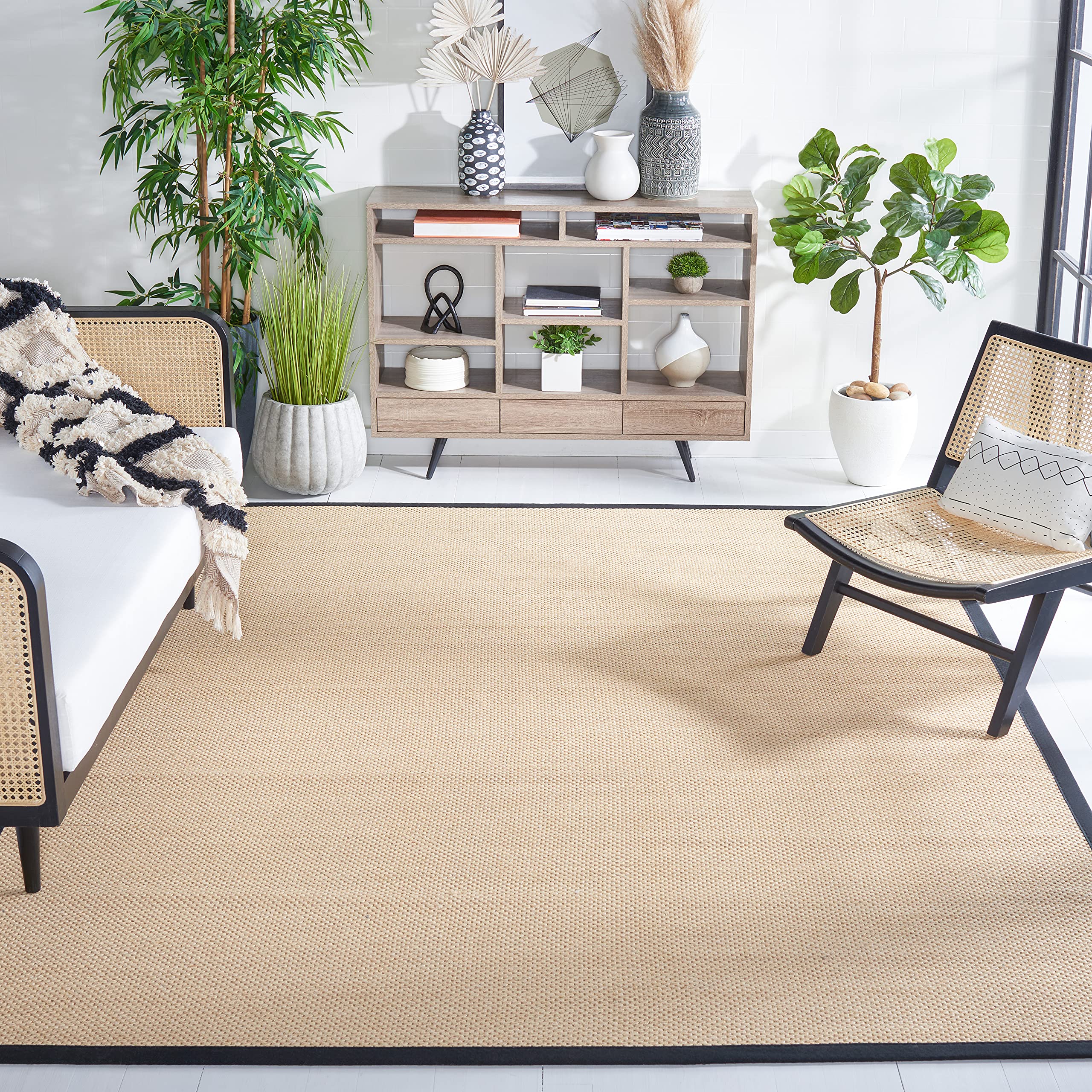 6 Best Border Rugs