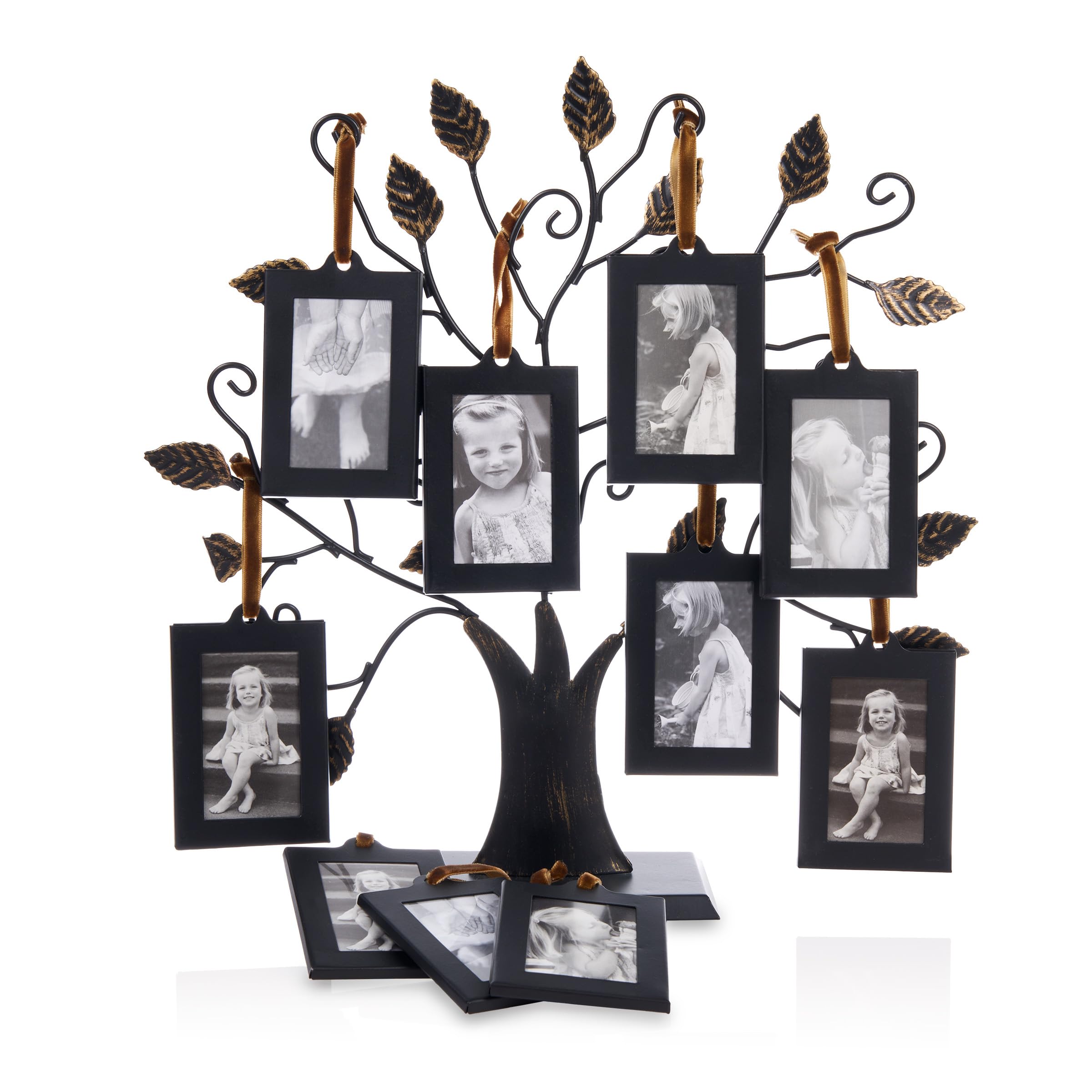 6 Best Family Tree Picture Frames