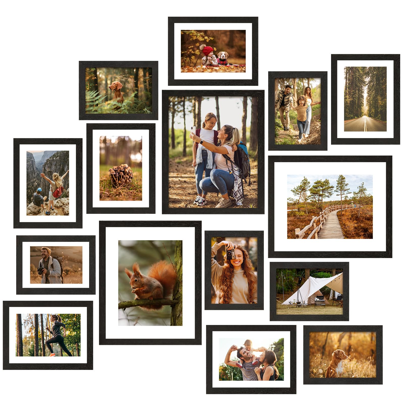 6 Best Gallery Wall Frames