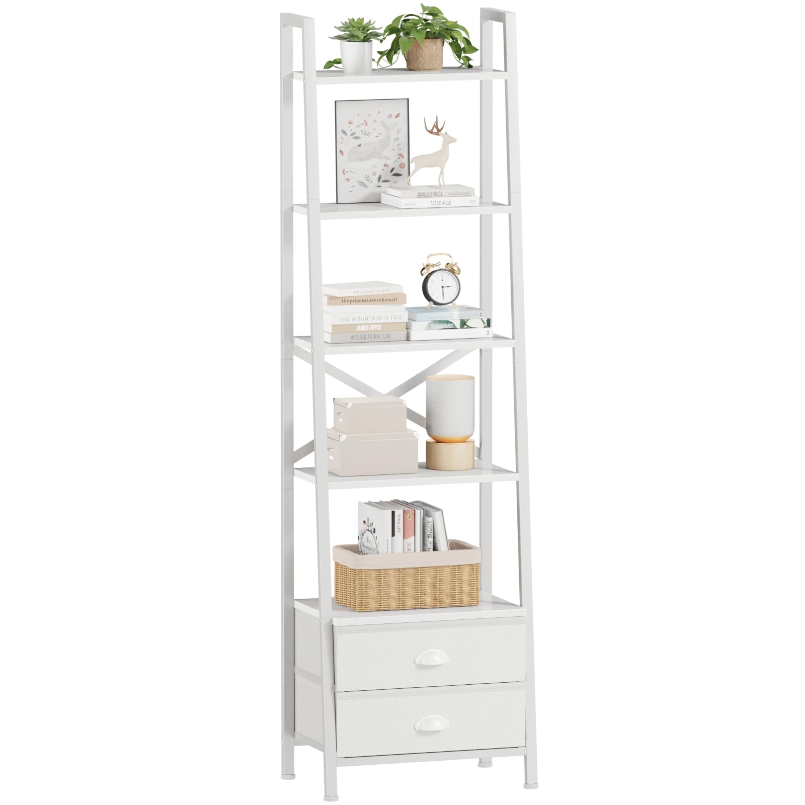 6 Best Ladder Shelves