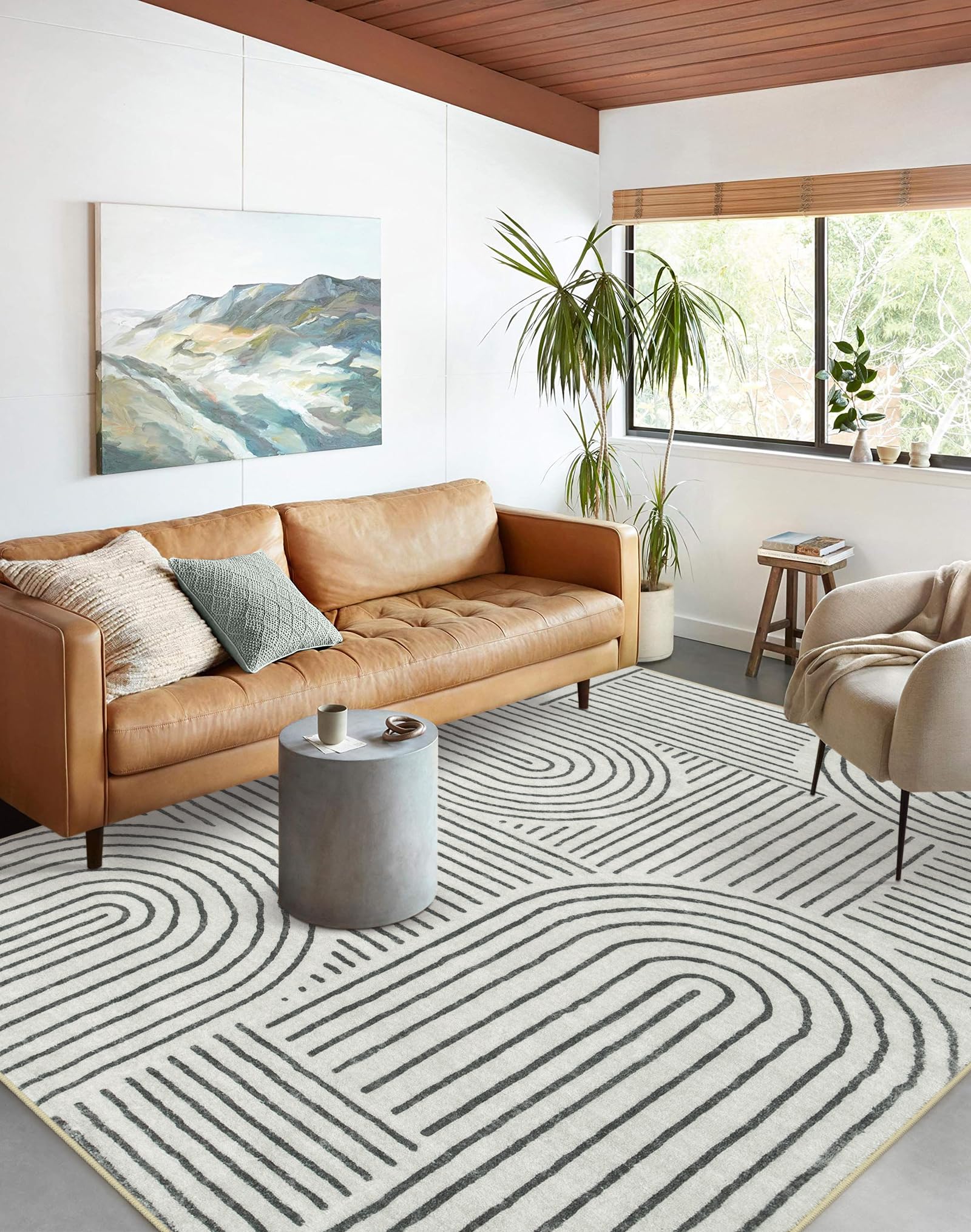 6 Best Modern Rugs