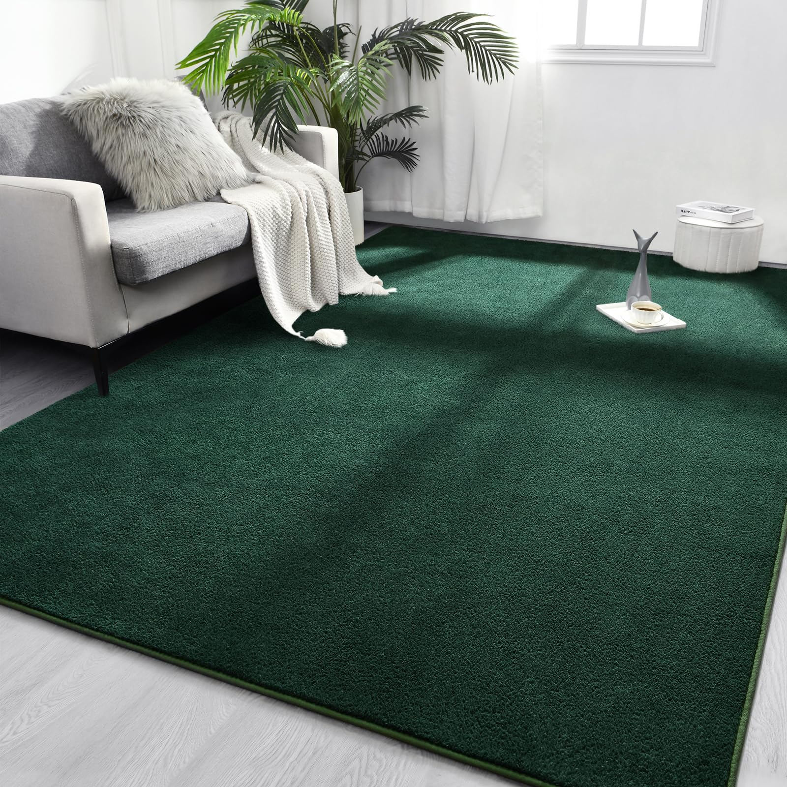 6 Best Solid Color Rugs