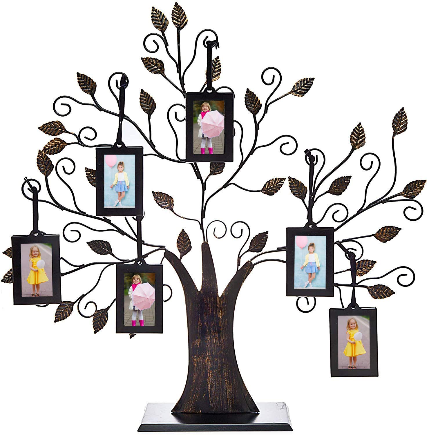 7 Best Family Tree Picture Frames