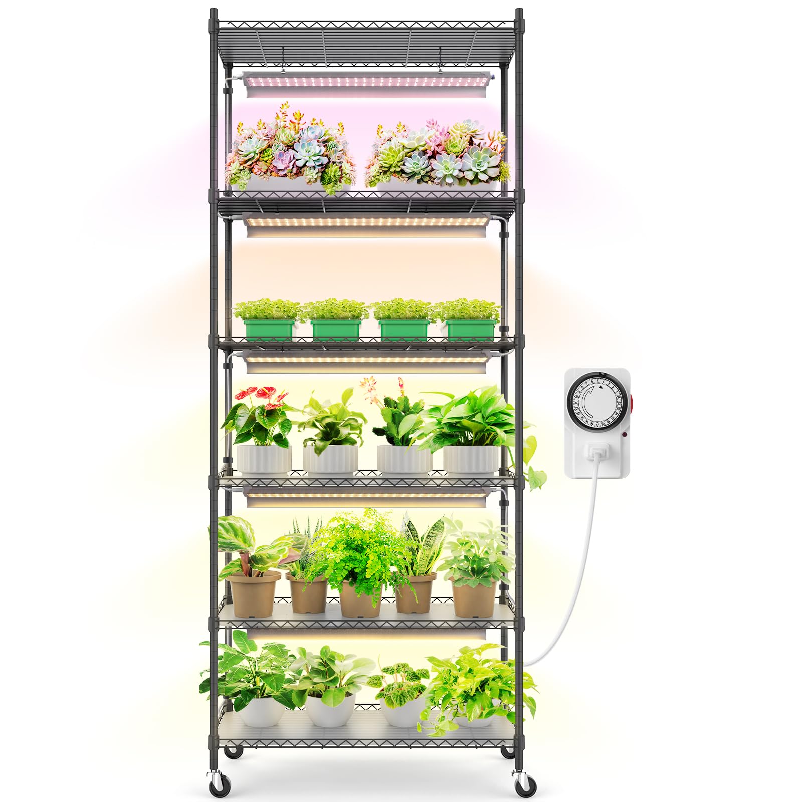 7 Best Plant Shelves